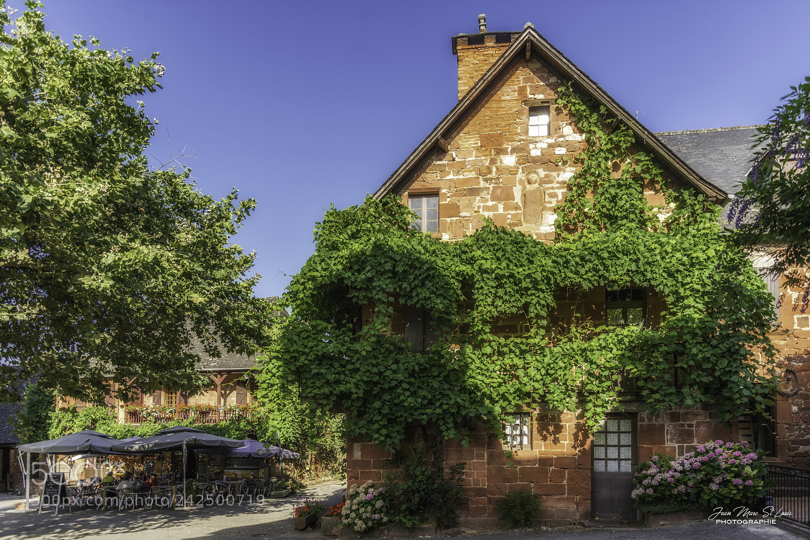 Nikon D610 sample photo. En corrèze photography