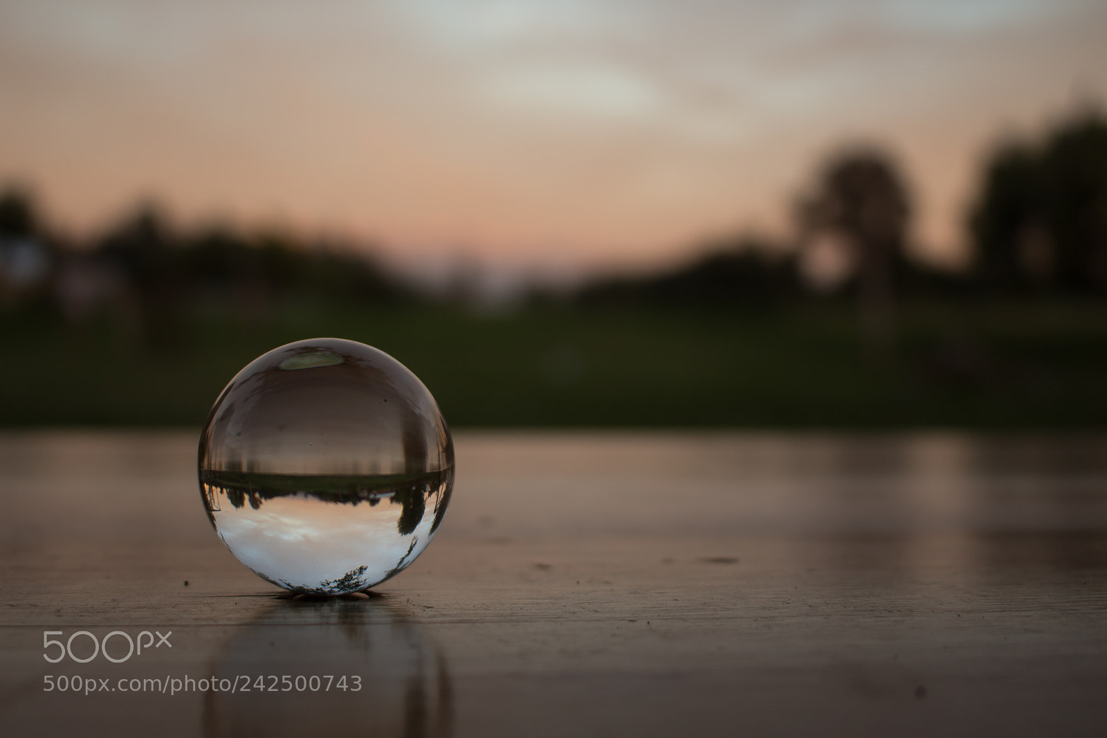 Canon EOS 700D (EOS Rebel T5i / EOS Kiss X7i) sample photo. Bola de cristal photography