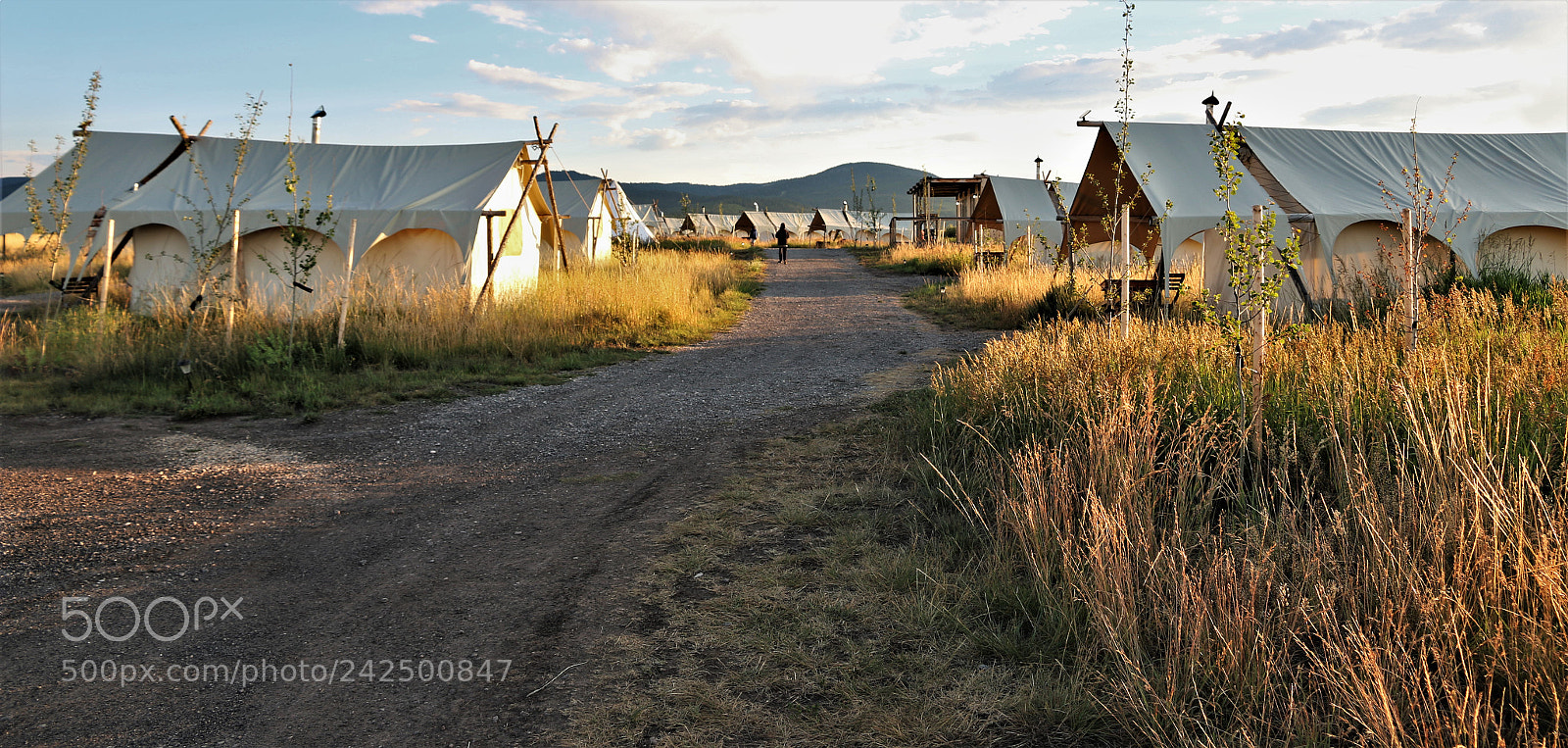 Canon EOS 70D sample photo. Glamour camping in yellowstone photography