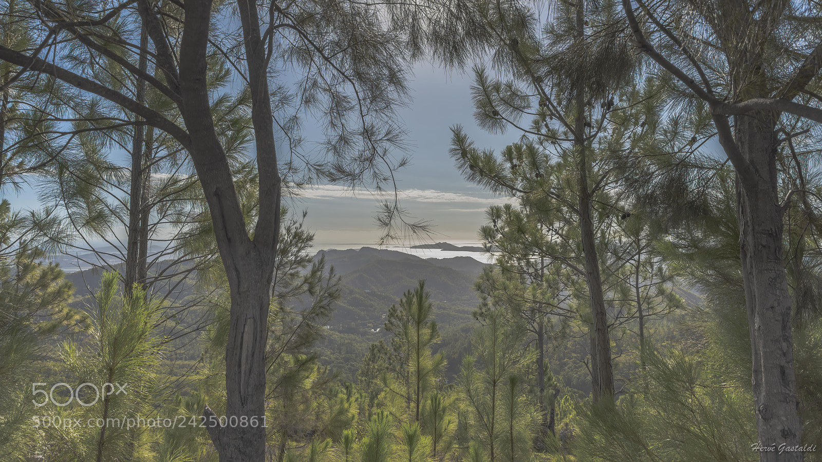 Nikon D810 sample photo. Untitled photography