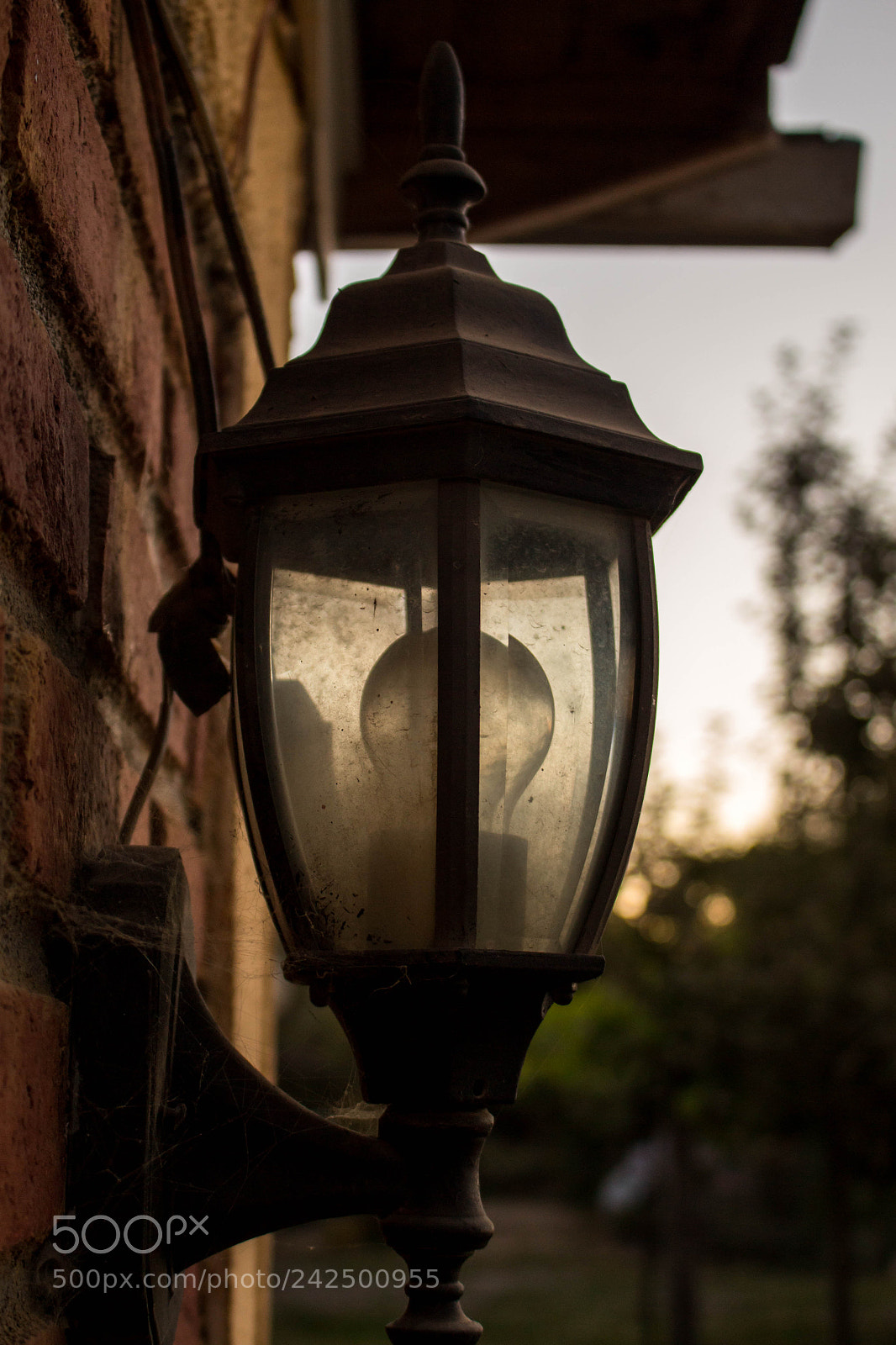 Canon EOS 700D (EOS Rebel T5i / EOS Kiss X7i) sample photo. Foco photography