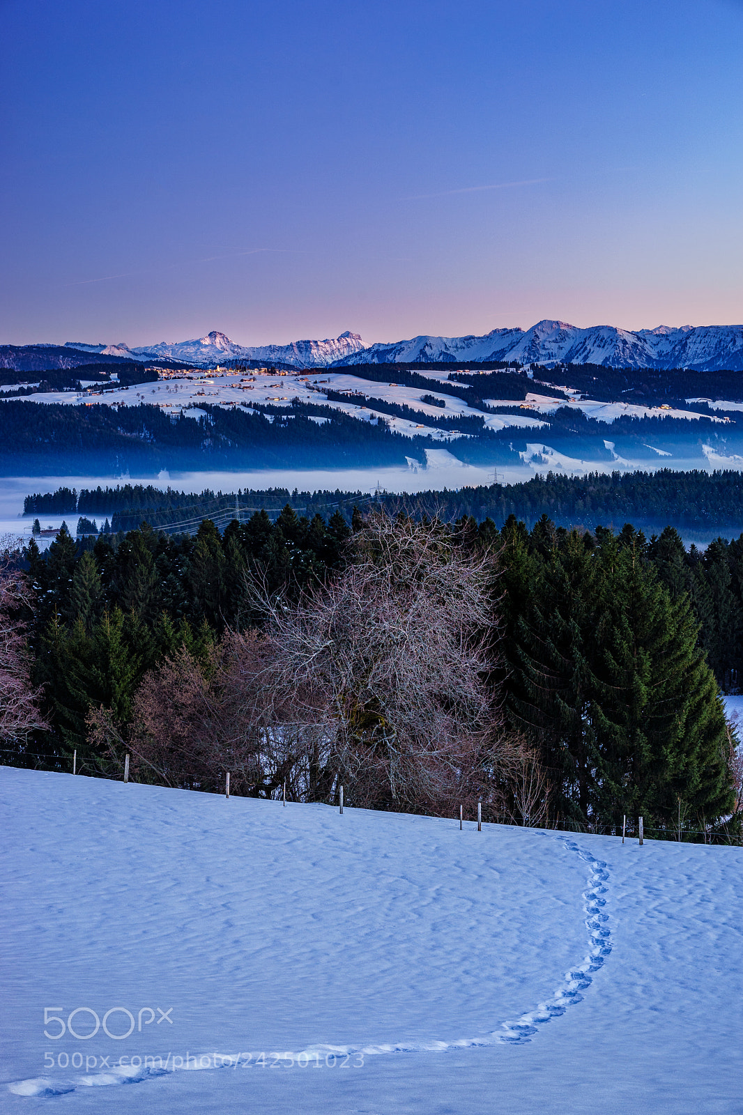 Sony a7 sample photo. Follow me to paradise photography