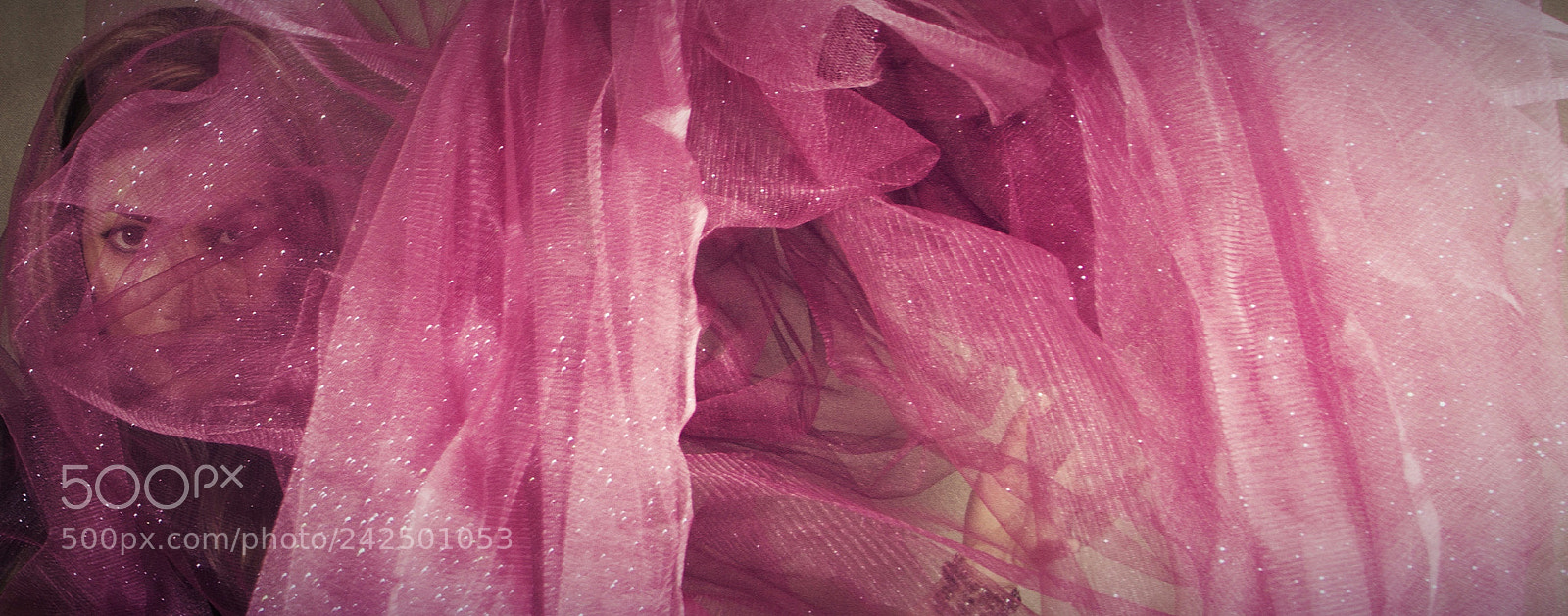 Canon EOS 60D sample photo. Pink bird photography
