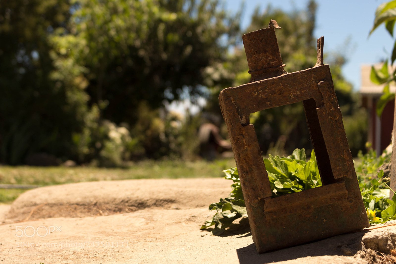 Canon EOS 700D (EOS Rebel T5i / EOS Kiss X7i) sample photo. Antigüedad photography