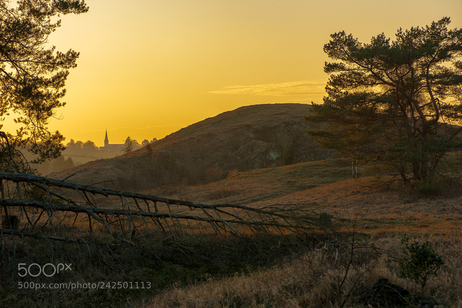 Nikon D700 sample photo. Schlangenberg - breinig photography