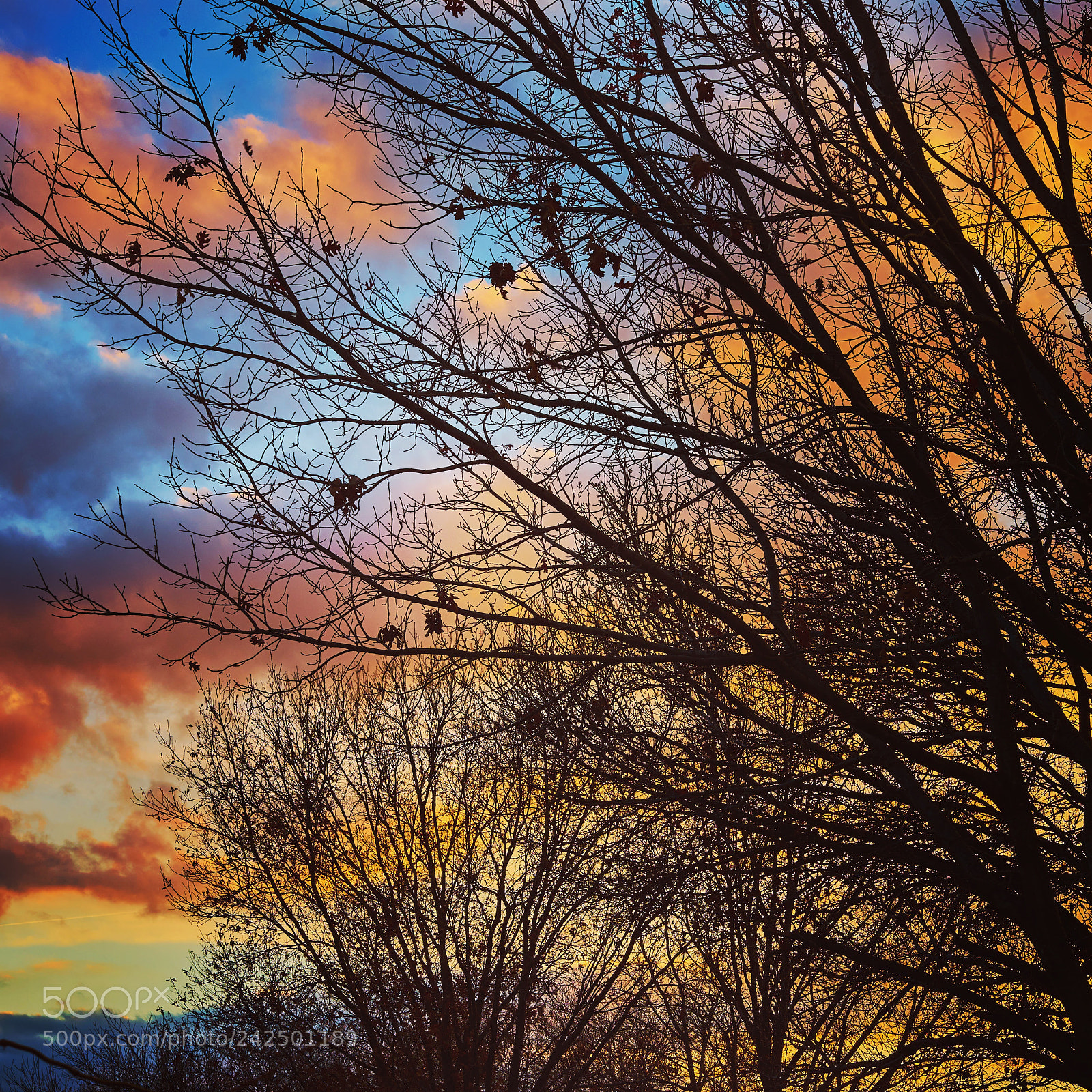 Sony a7 II sample photo. Some clouds sunset and photography