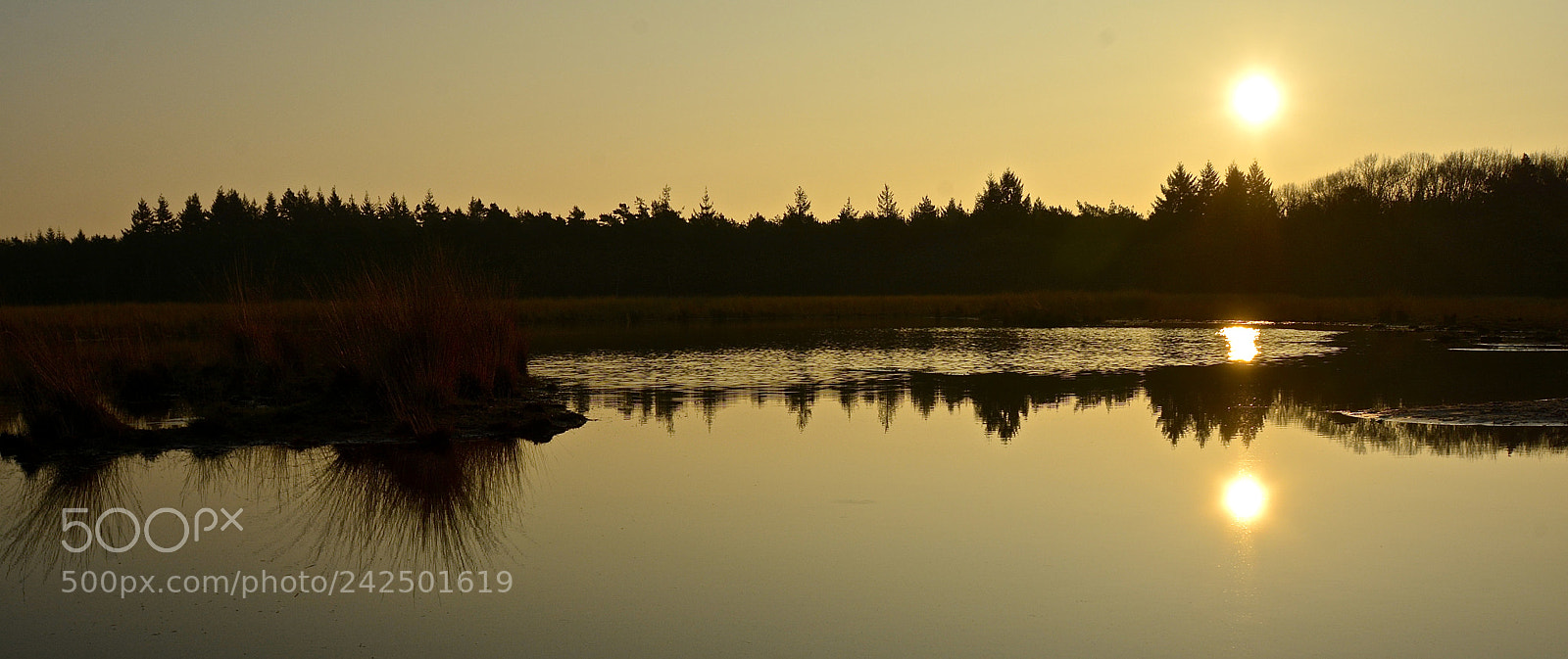 Nikon D7100 sample photo. Reflections i photography