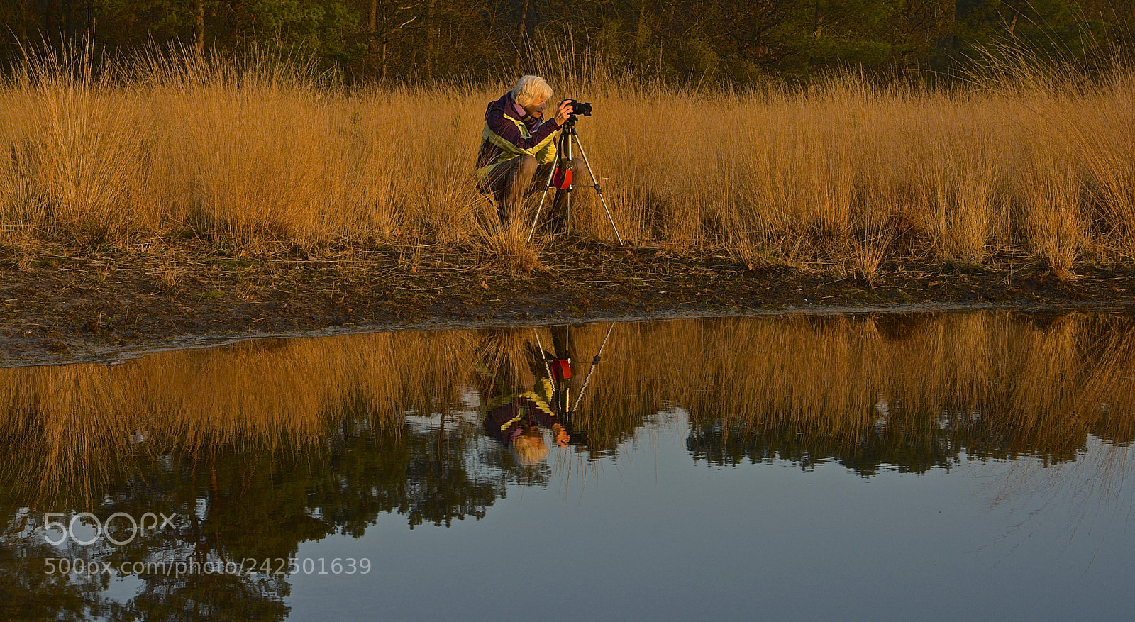 Nikon D7100 sample photo. Photographer reflected photography