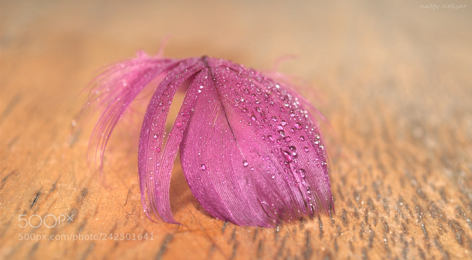 Nikon D60 sample photo. Lightness...#5 photography