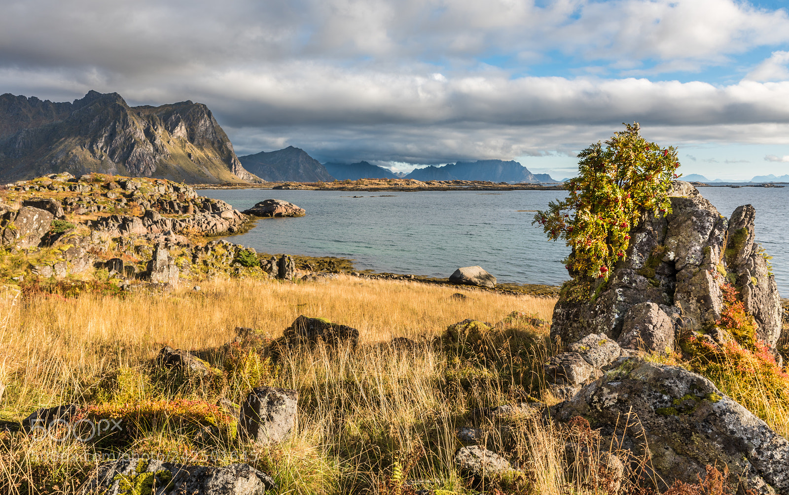 Nikon D810 sample photo. Hagskarveien photography