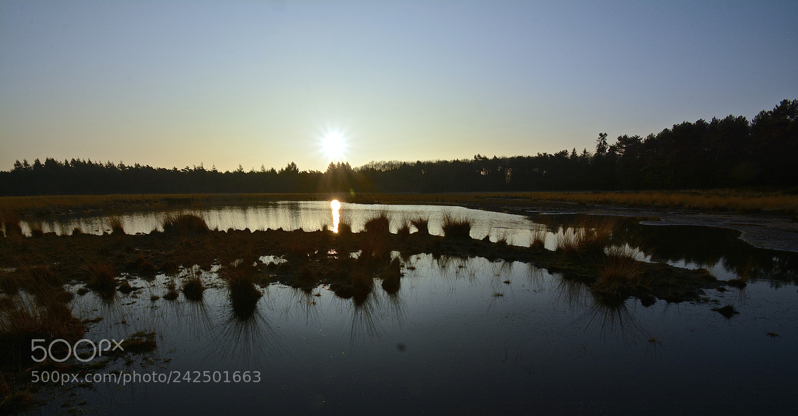 Nikon D7100 sample photo. Reflections ii photography