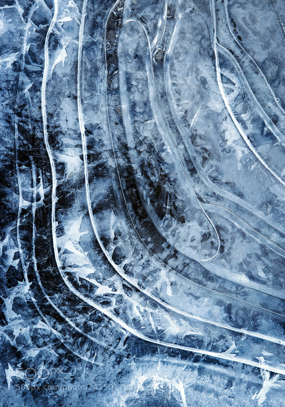 Nikon D5500 sample photo. Arc lines on frozen photography