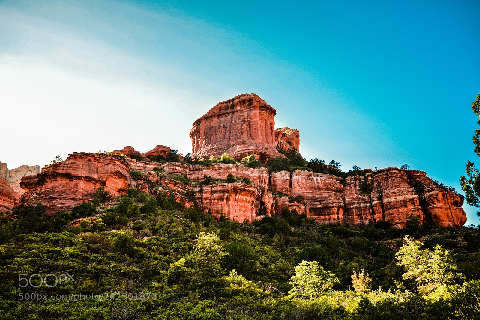 Nikon D600 sample photo. Boyton canyon photography