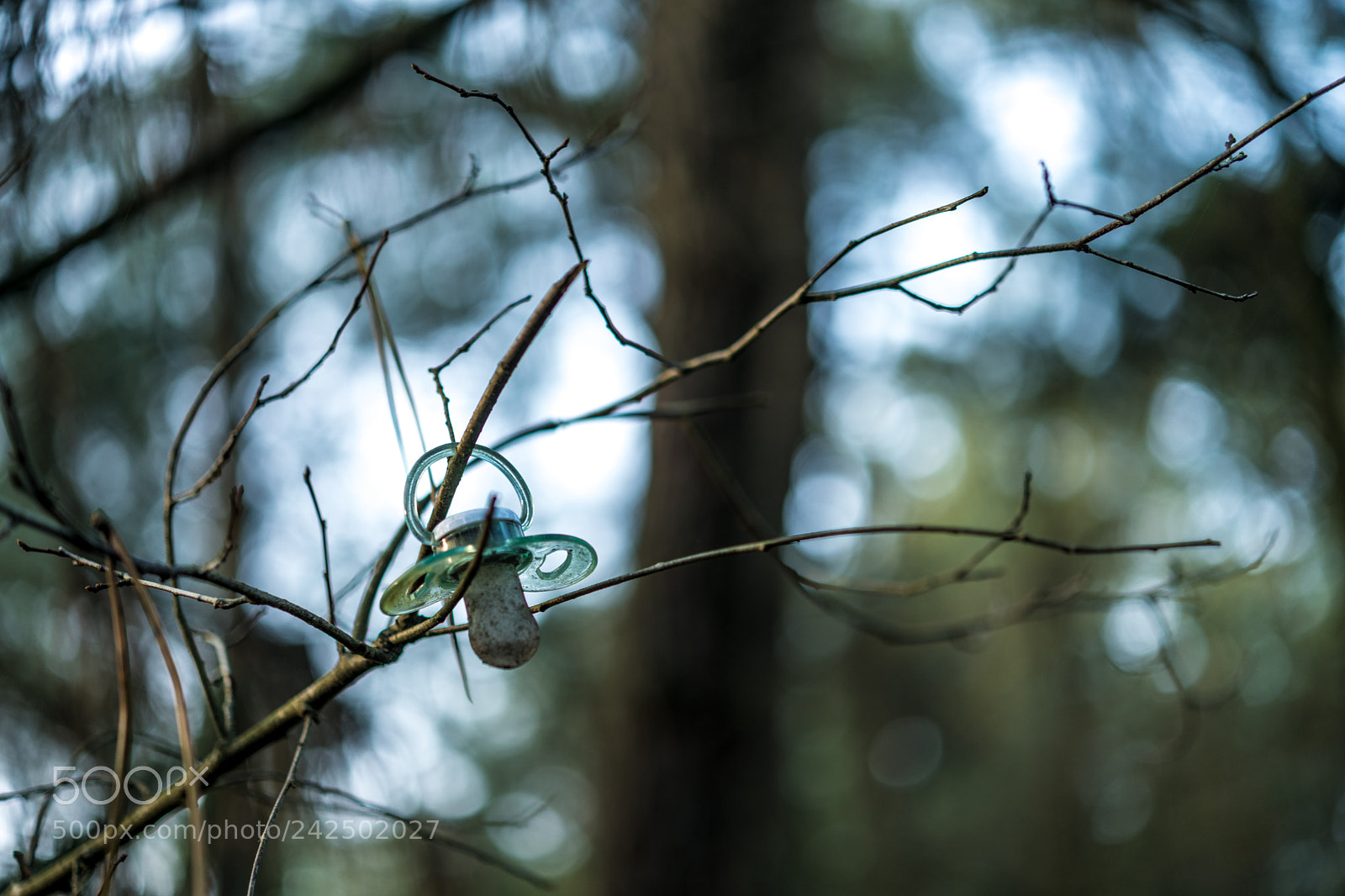 Nikon D850 sample photo. Ruige heide photography