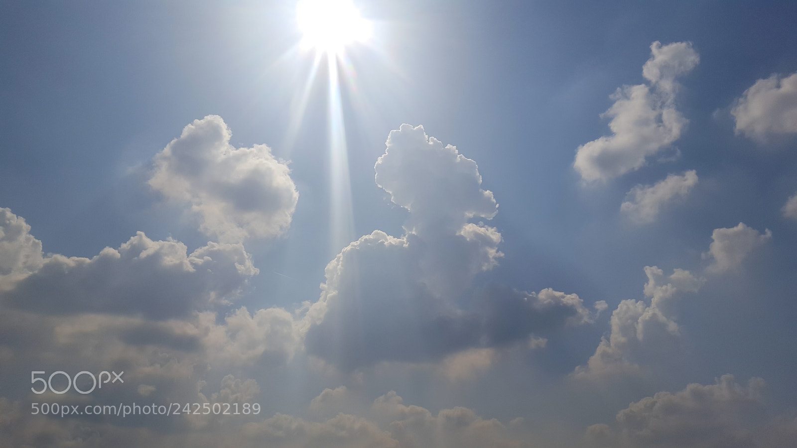 Samsung Galaxy S6 sample photo. Summer sunshine photography