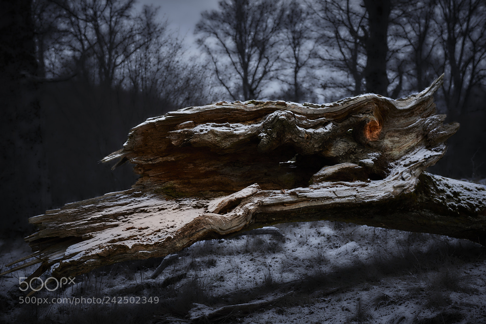 Nikon D800E sample photo. The final resting place photography