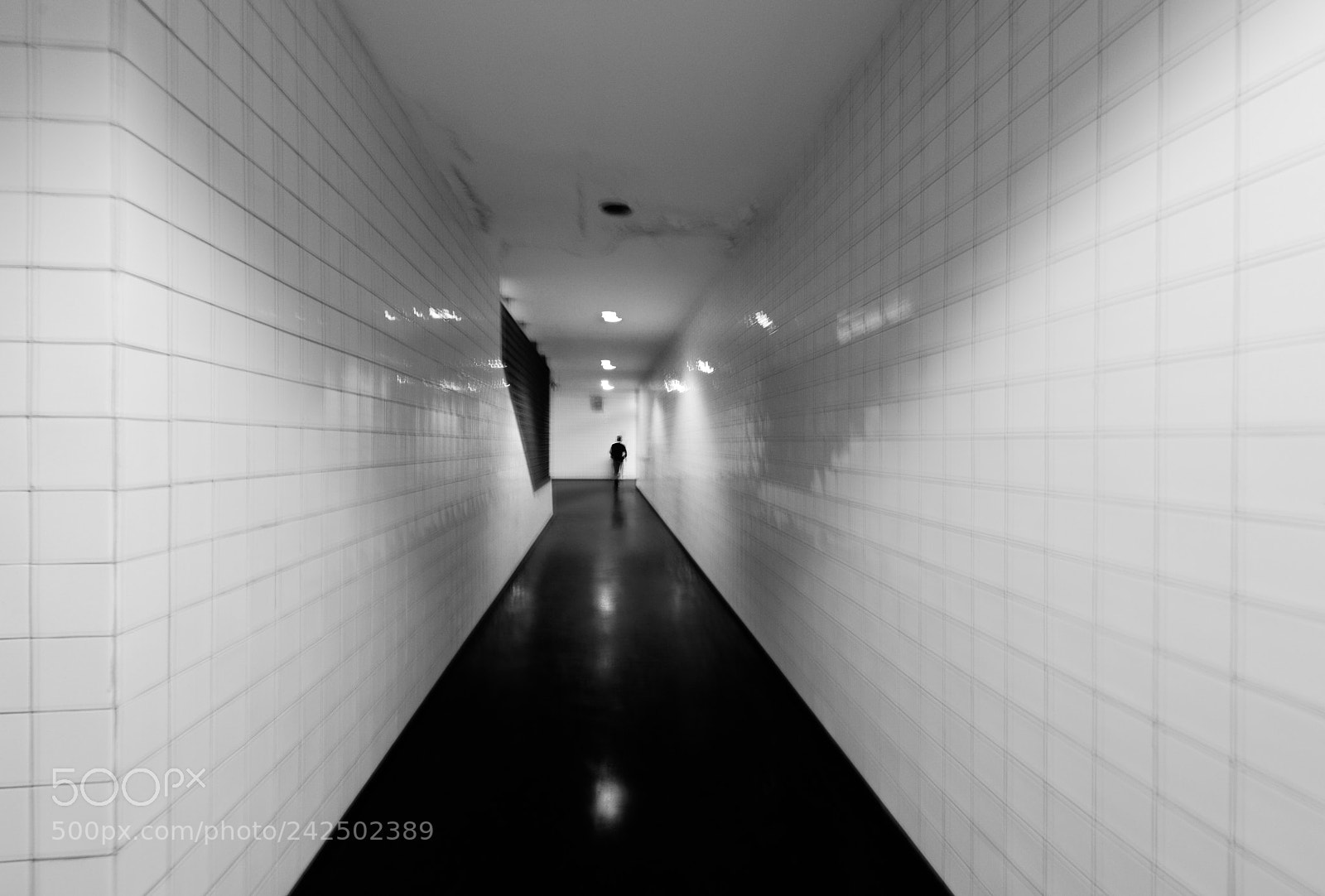 Nikon D610 sample photo. Man in black photography