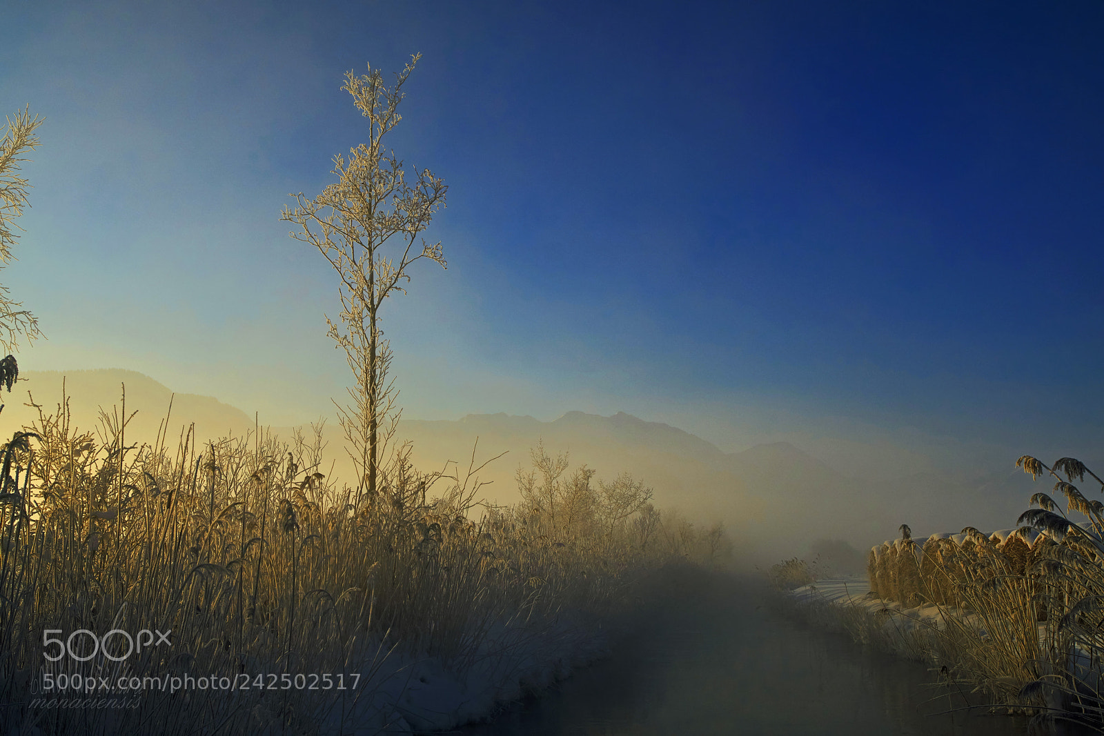 Sony ILCA-77M2 sample photo. Morning fog photography
