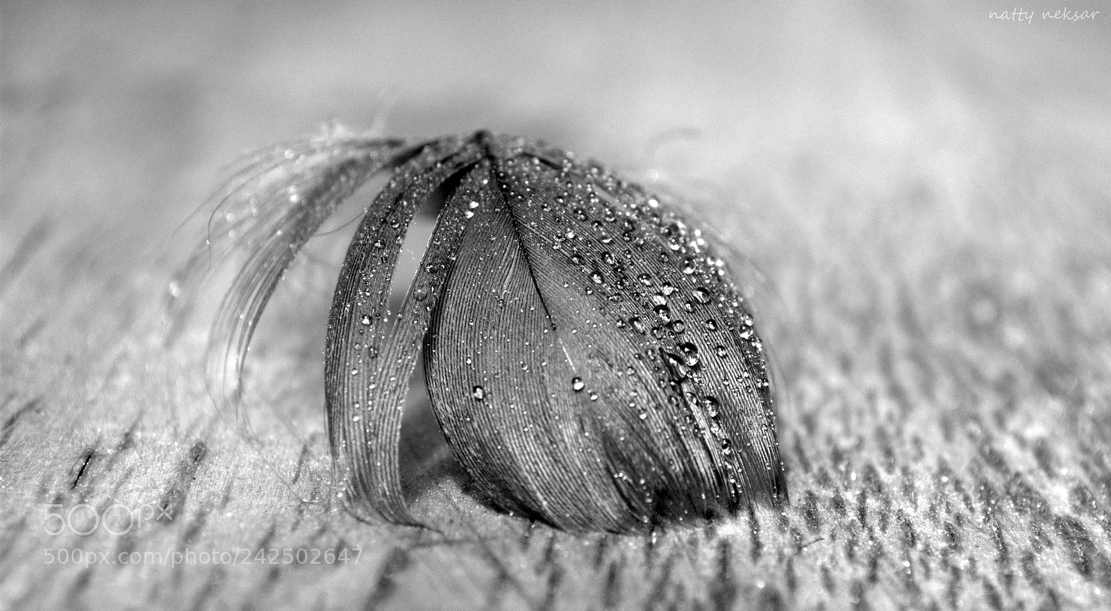 Nikon D60 sample photo. Lightness...#6 photography