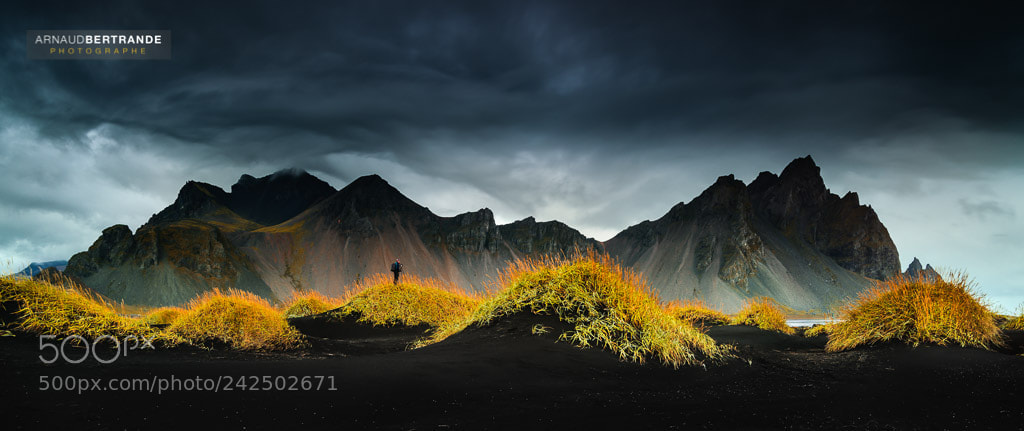 Nikon D810 sample photo. Vestrahorn photography