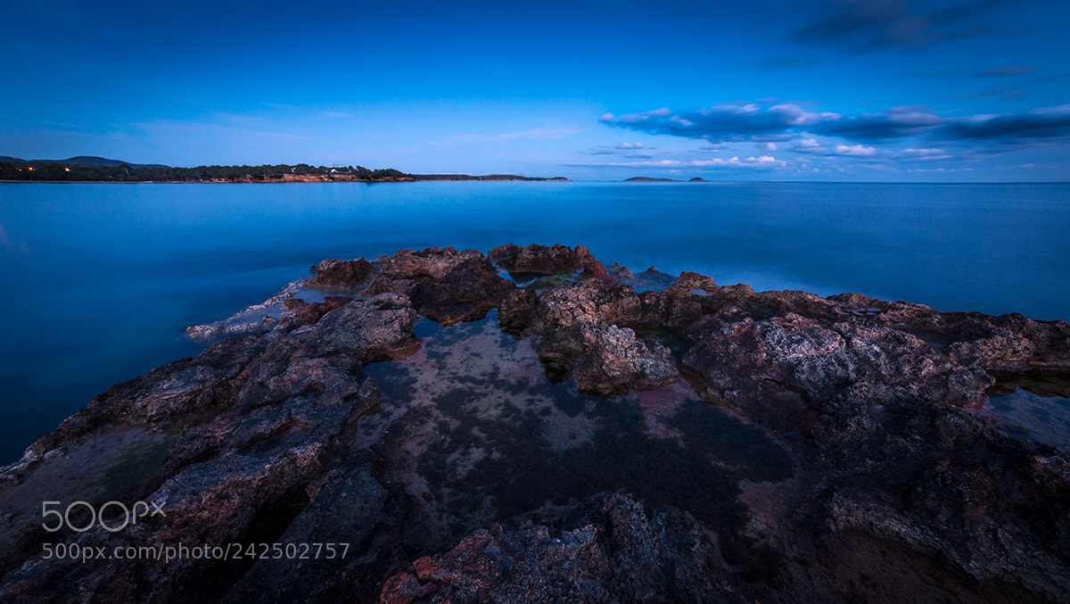Nikon D800 sample photo. Blue photography