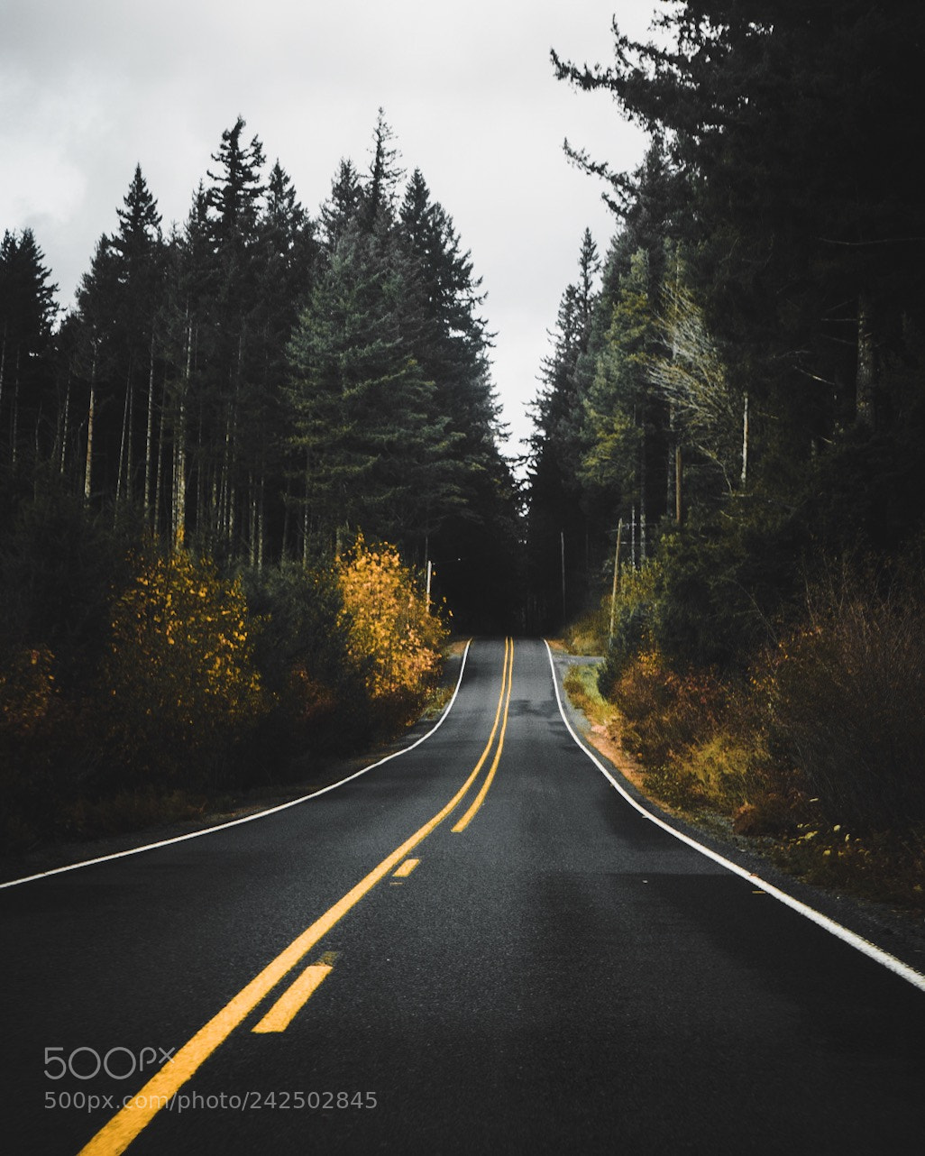 Sony a6500 sample photo. Oregon roads photography