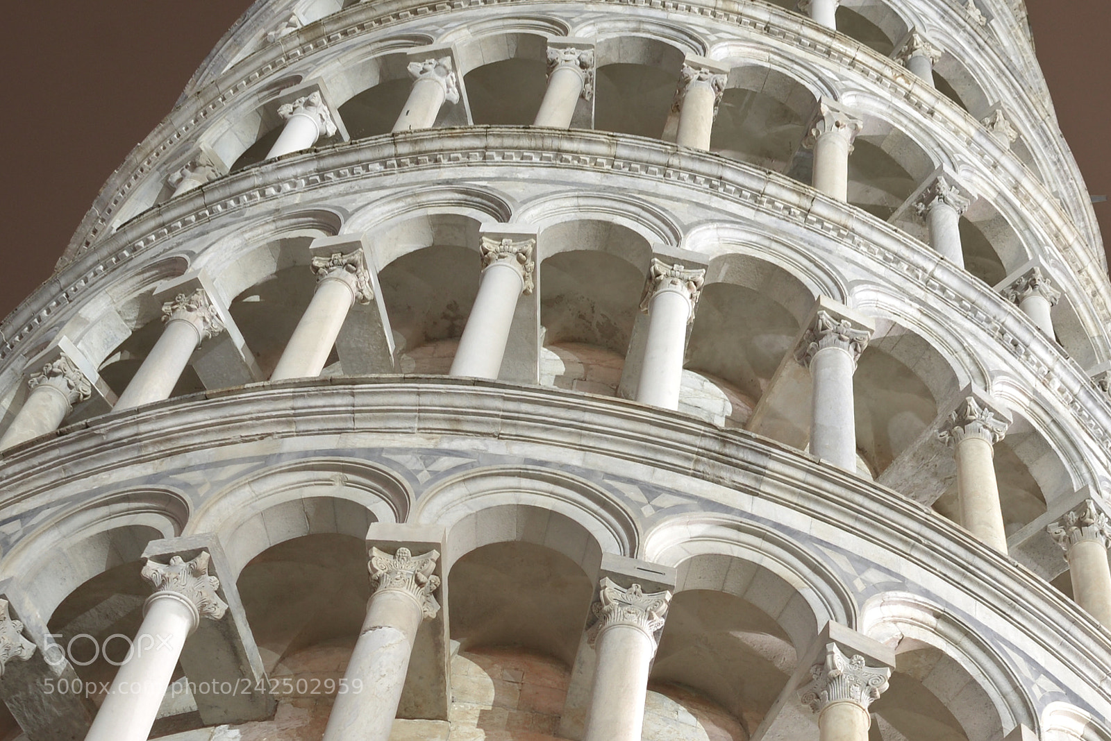 Nikon D600 sample photo. Leaning tower of pisa photography
