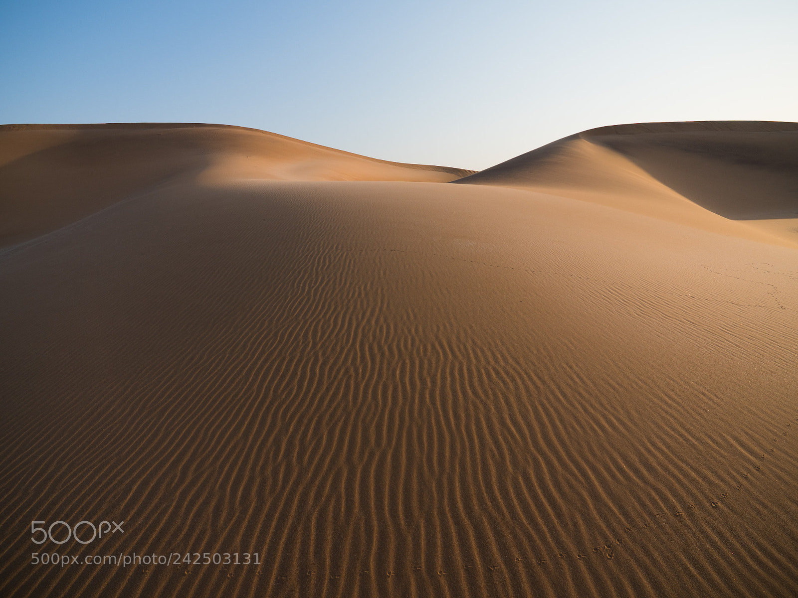Olympus OM-D E-M1 Mark II sample photo. Swakopmund dunes photography