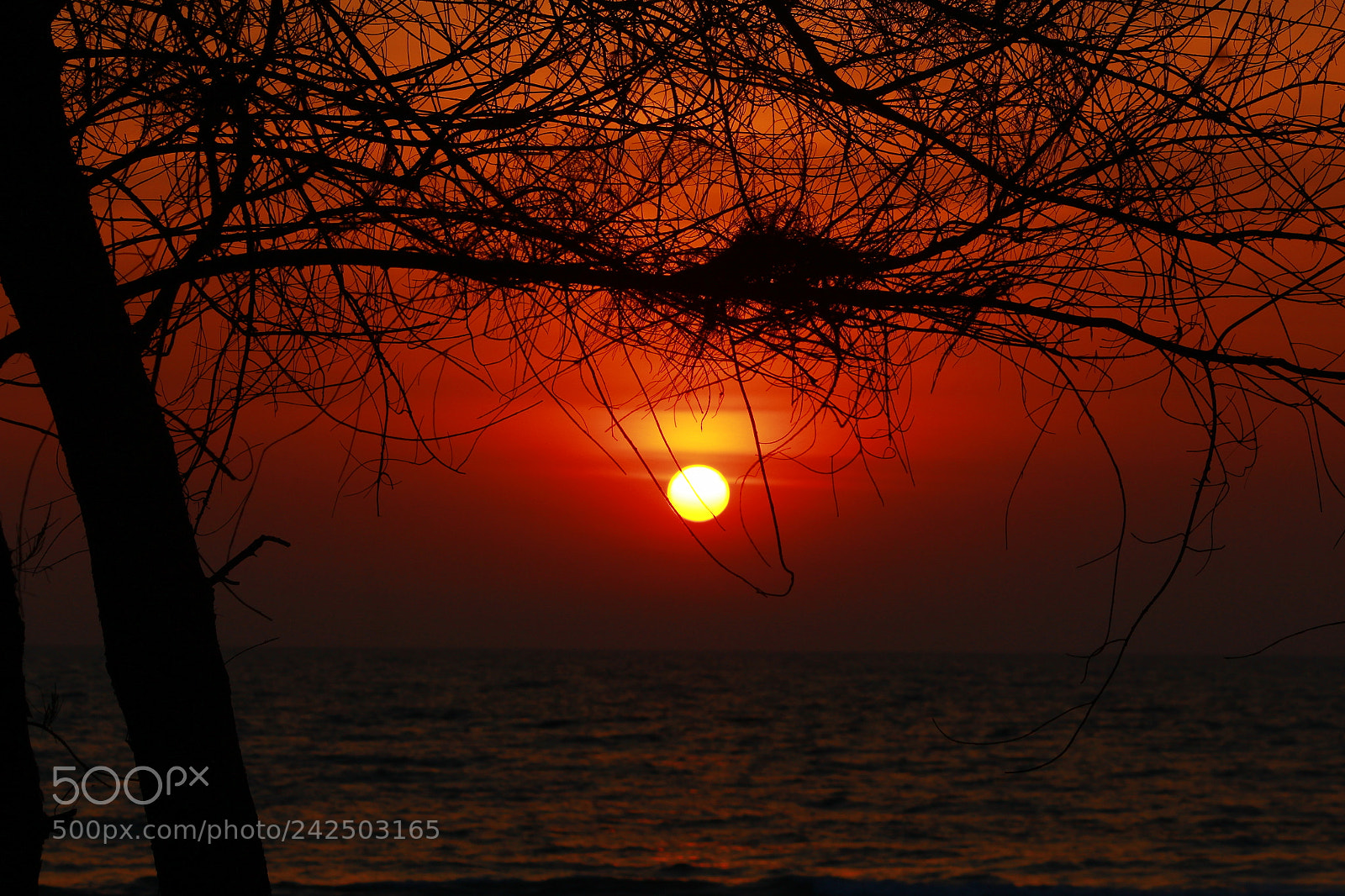 Canon EF-S 55-250mm F4-5.6 IS II sample photo. Slidingsun photography