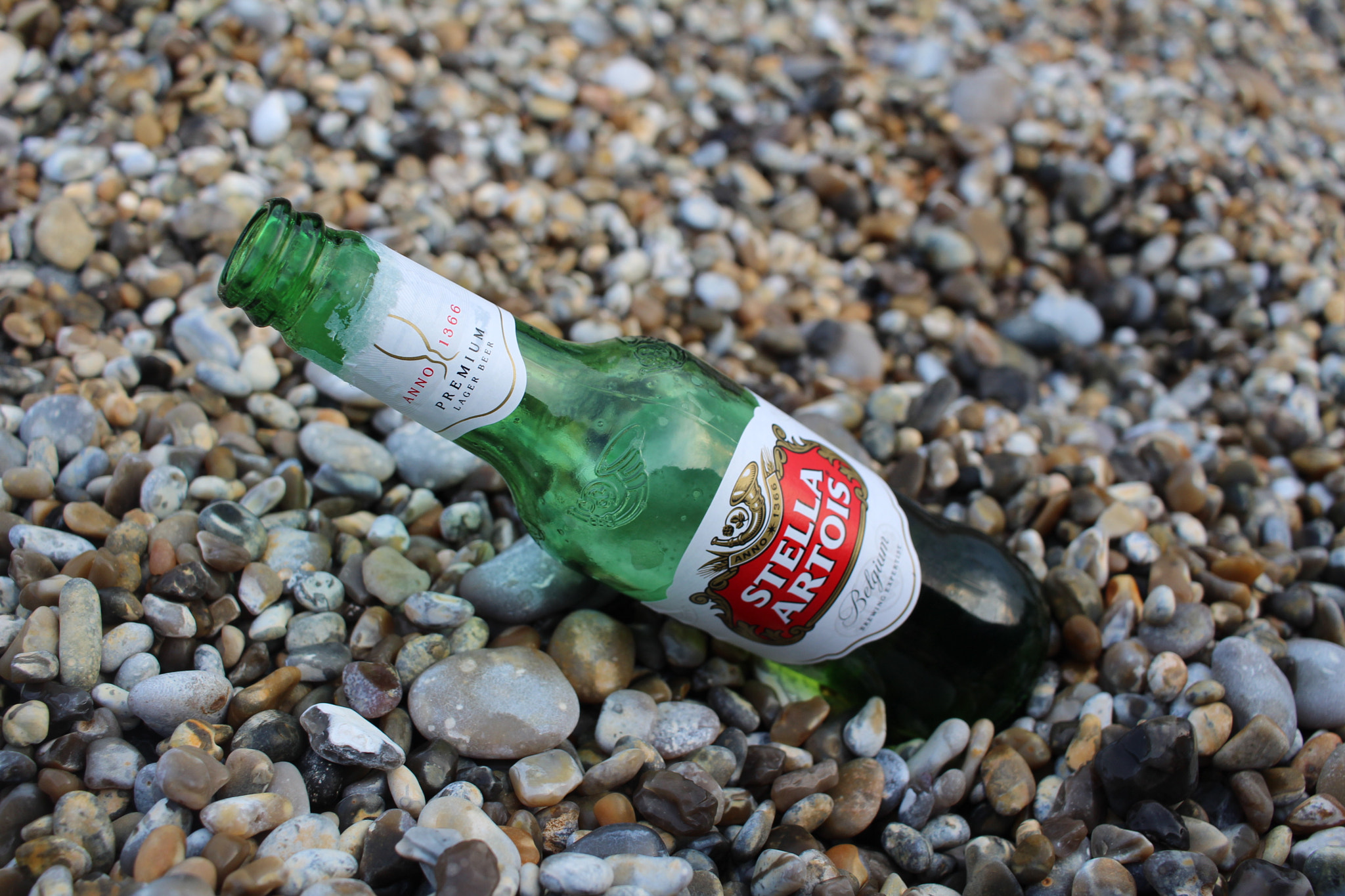Canon EF-S 24mm F2.8 STM sample photo. Stella photography