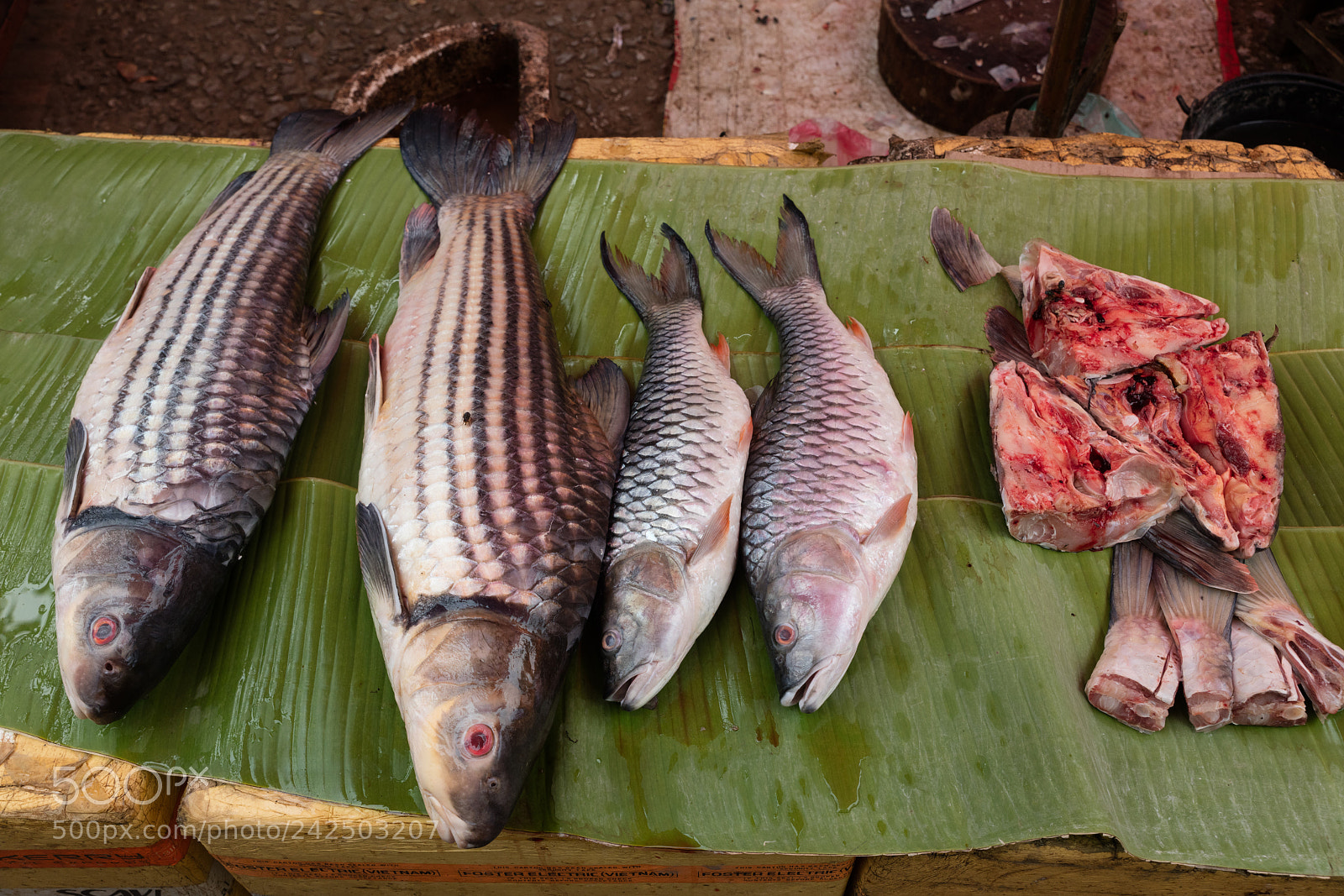 Canon EOS 5DS R sample photo. Fish at market photography