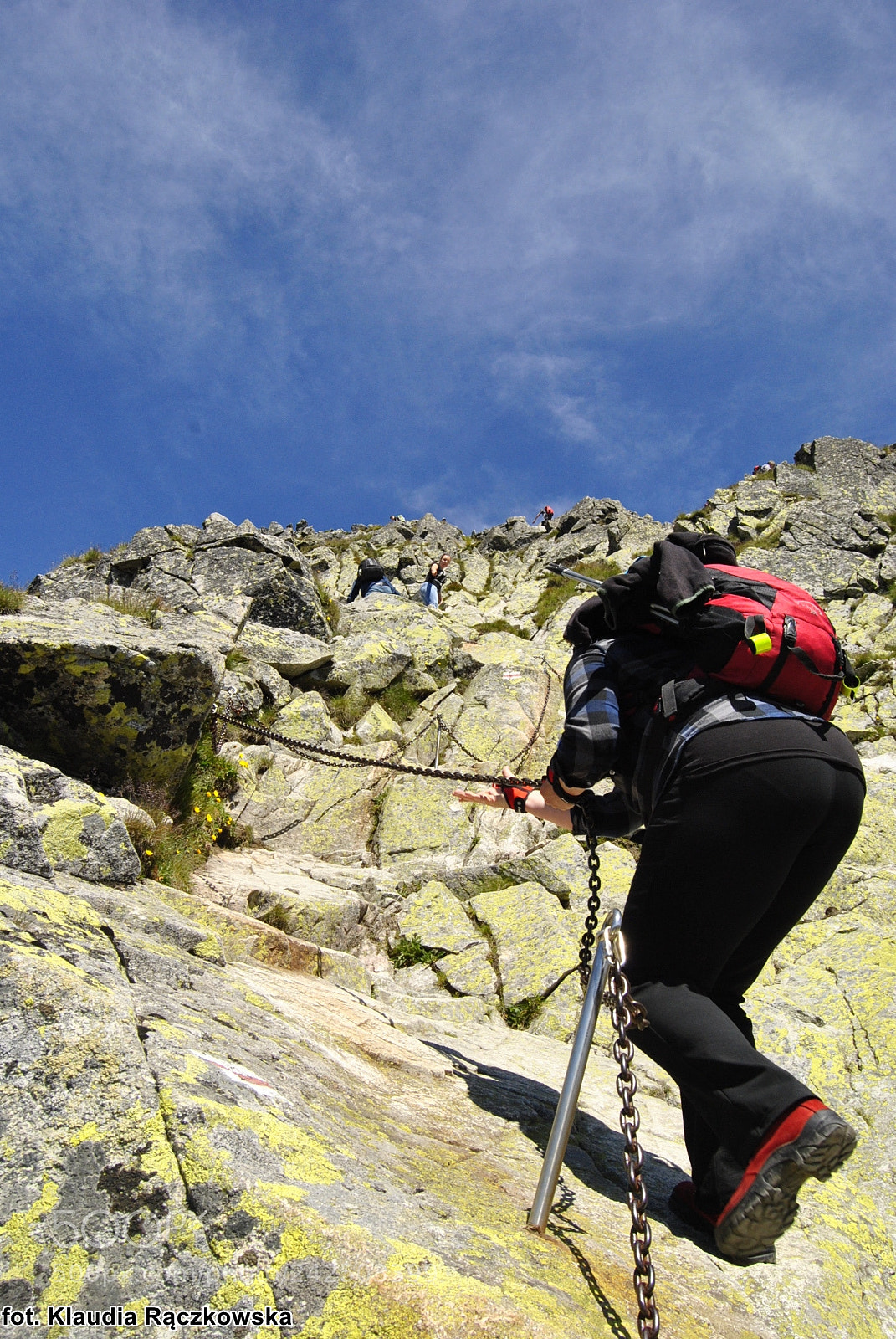 Nikon D3000 sample photo. Go to the top! photography