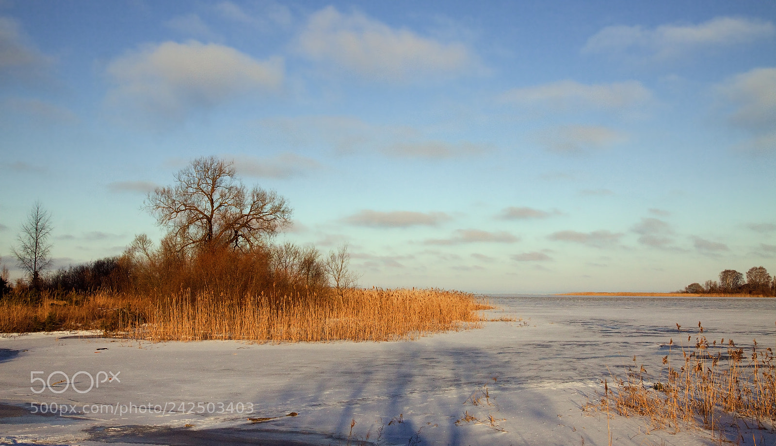 Canon EOS 50D sample photo. На Псковском озере.. photography