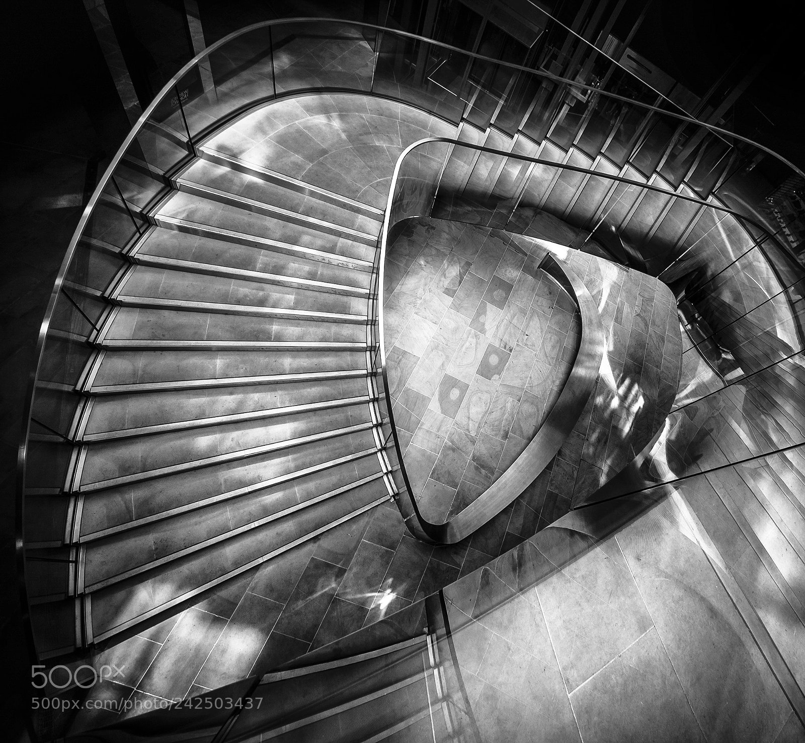Nikon D610 sample photo. Up or down? photography