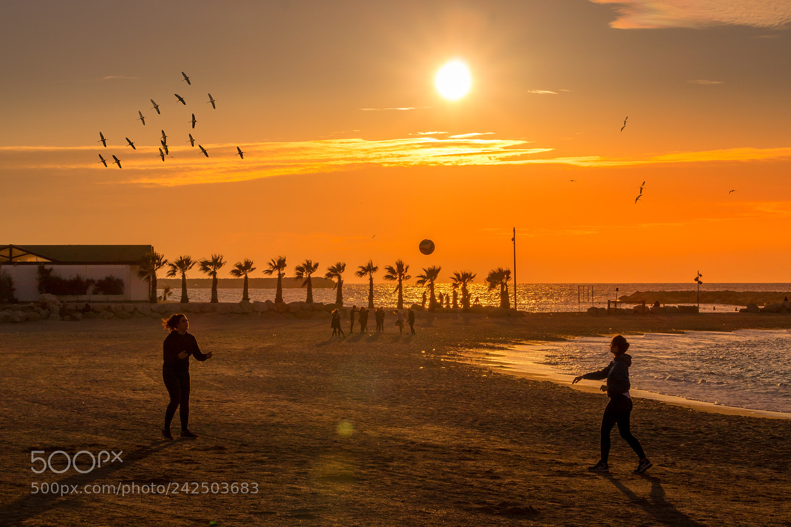 Canon EOS 77D (EOS 9000D / EOS 770D) sample photo. Borely, sun, sport, beach photography
