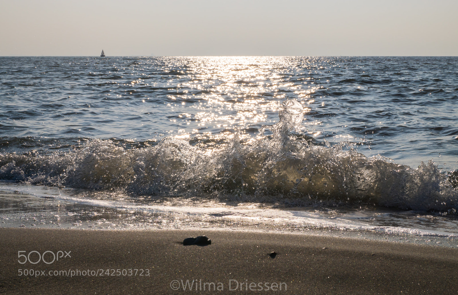 Sony ILCA-77M2 sample photo. Beach at zoutelanden, the photography