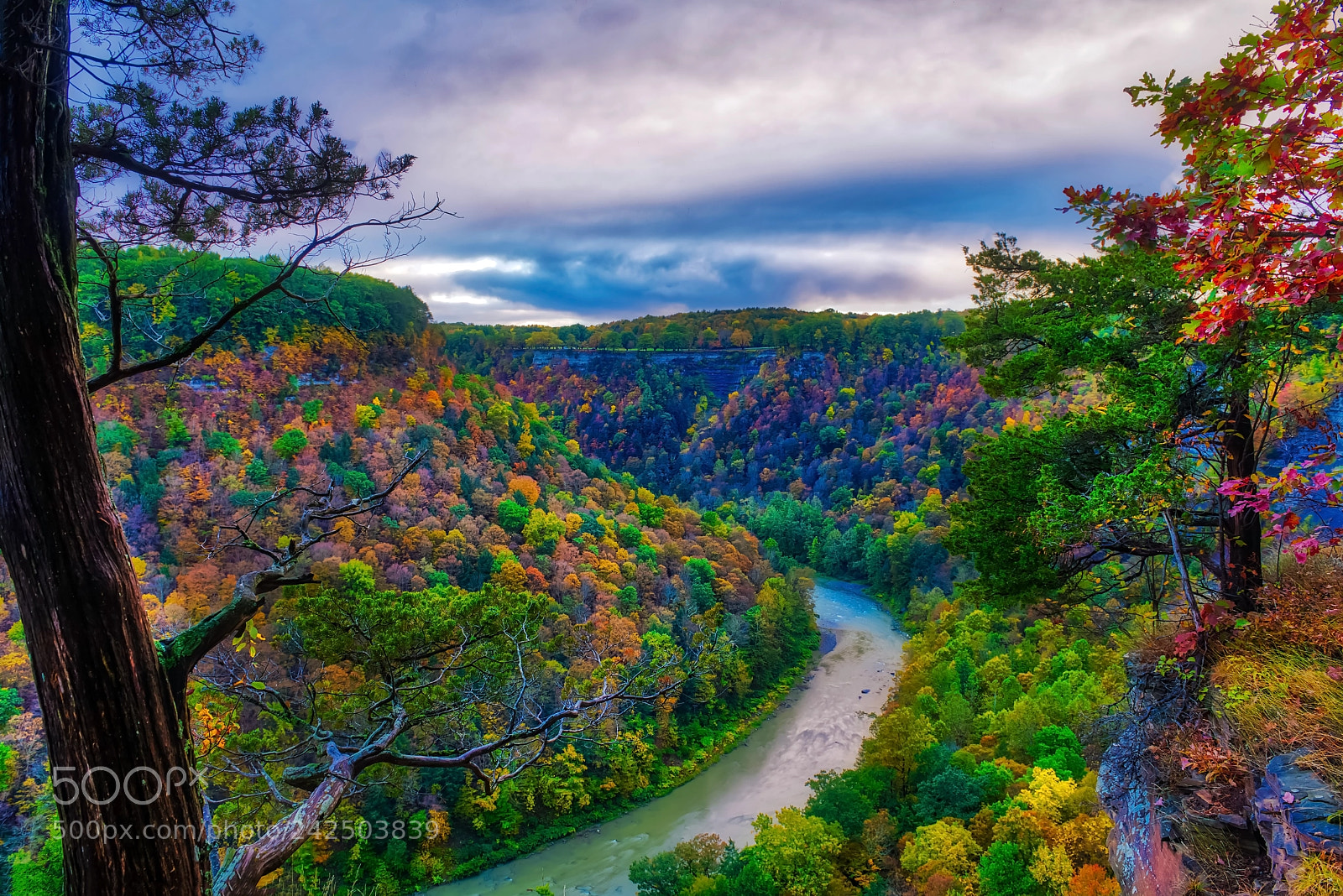 Nikon D800E sample photo. Amazing autumn photography