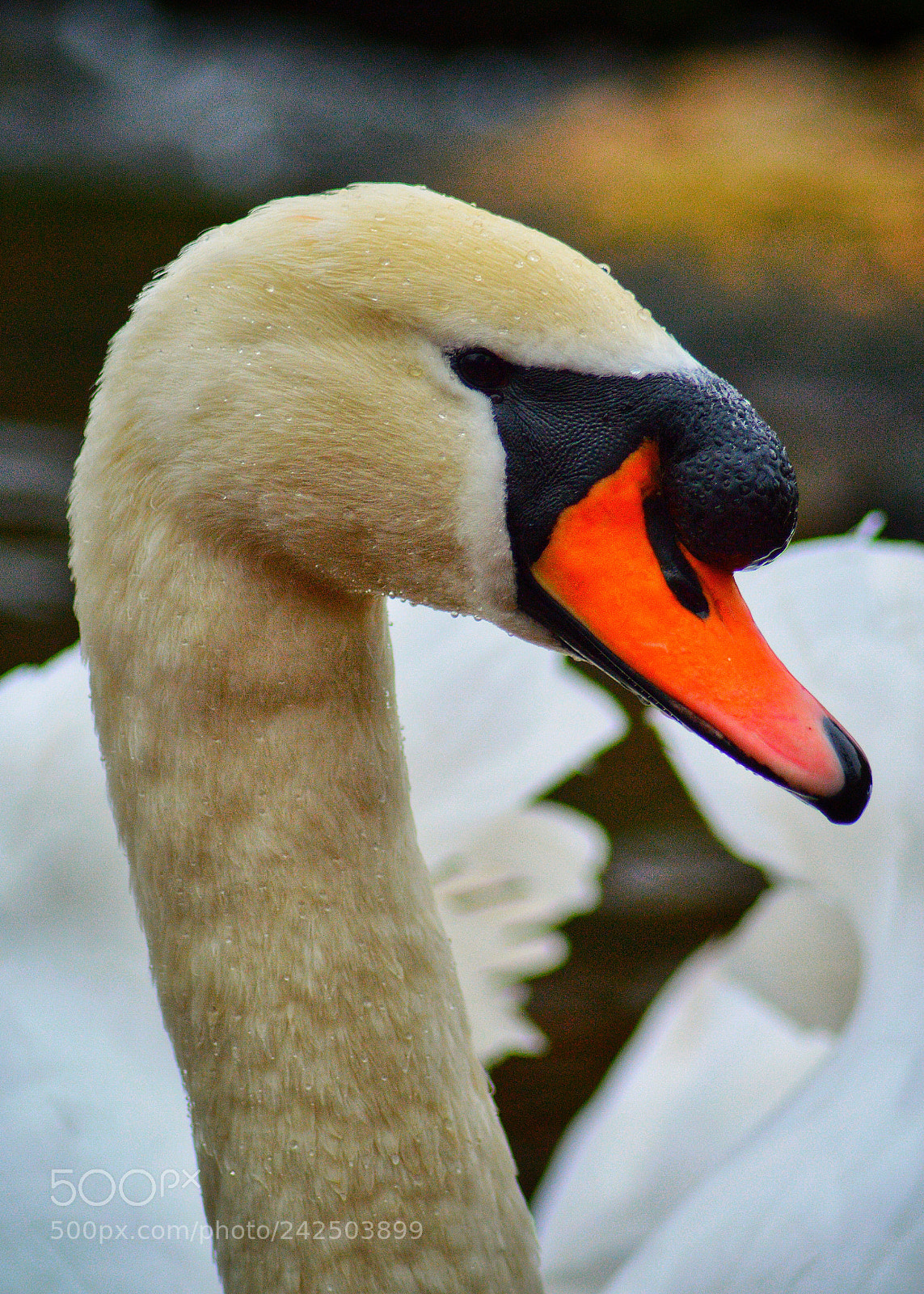 Nikon D3200 sample photo. Embrace the power photography