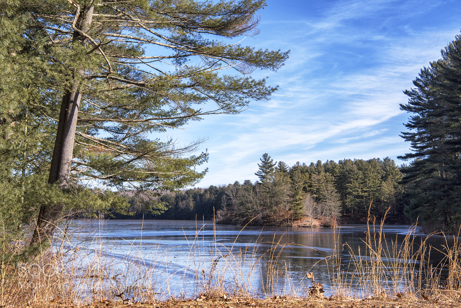 Nikon D810 sample photo. Frozen reservoir in glastonbury photography