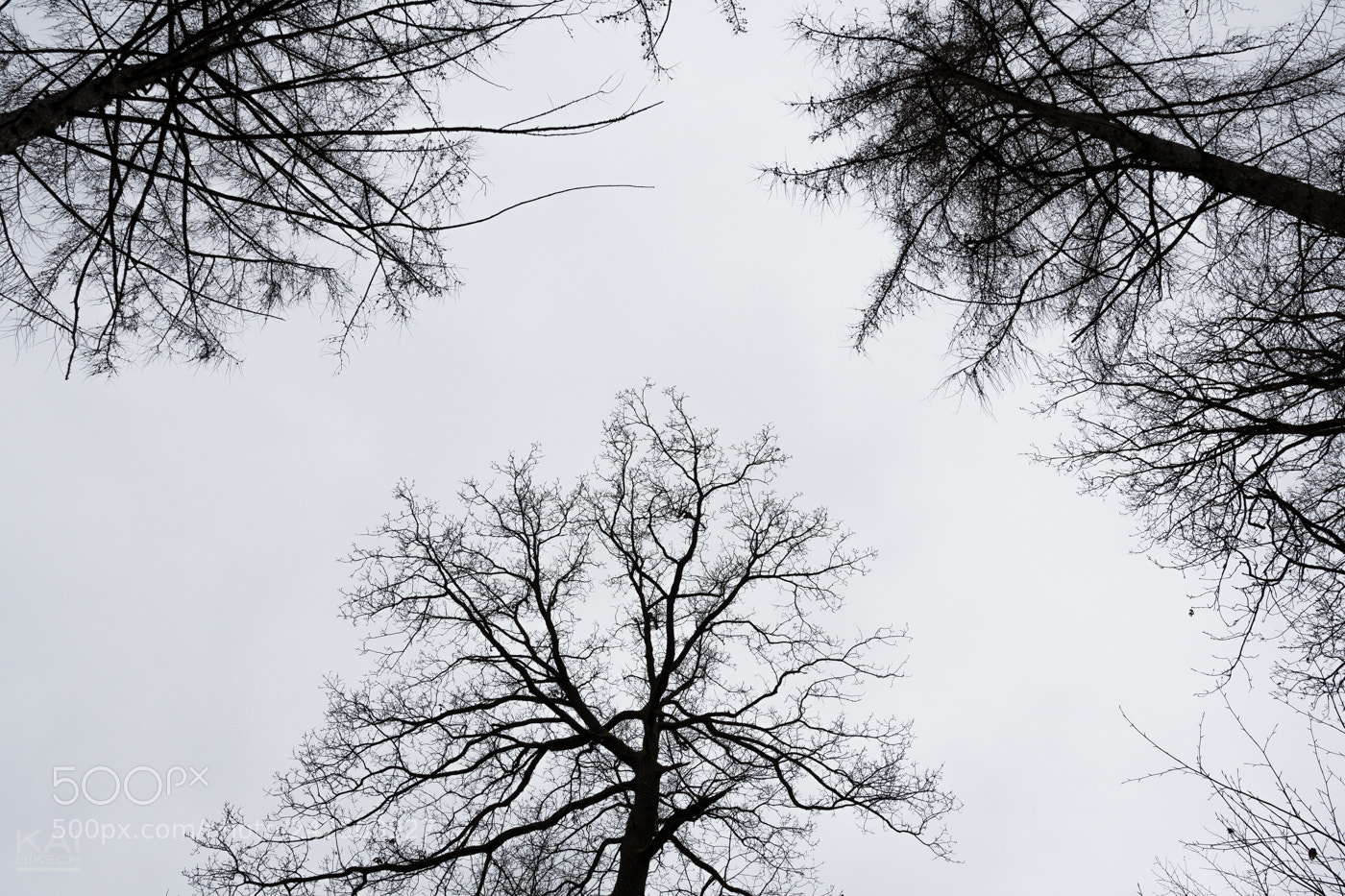 Nikon D500 sample photo. Luft nach oben photography