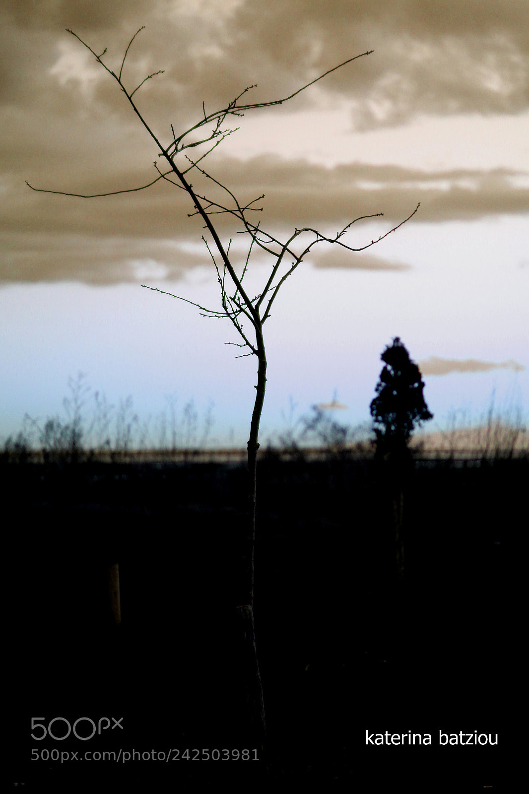 Canon EOS 550D (EOS Rebel T2i / EOS Kiss X4) sample photo. Last light photography