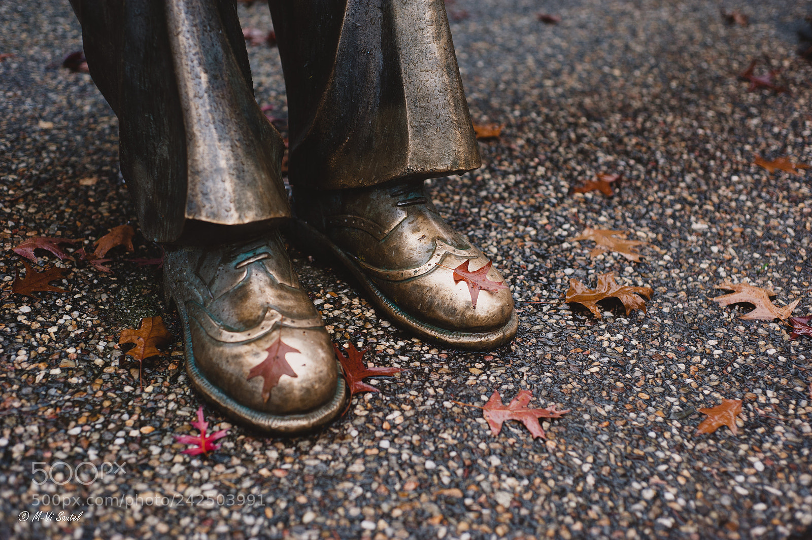 Nikon D700 sample photo. Untitled photography