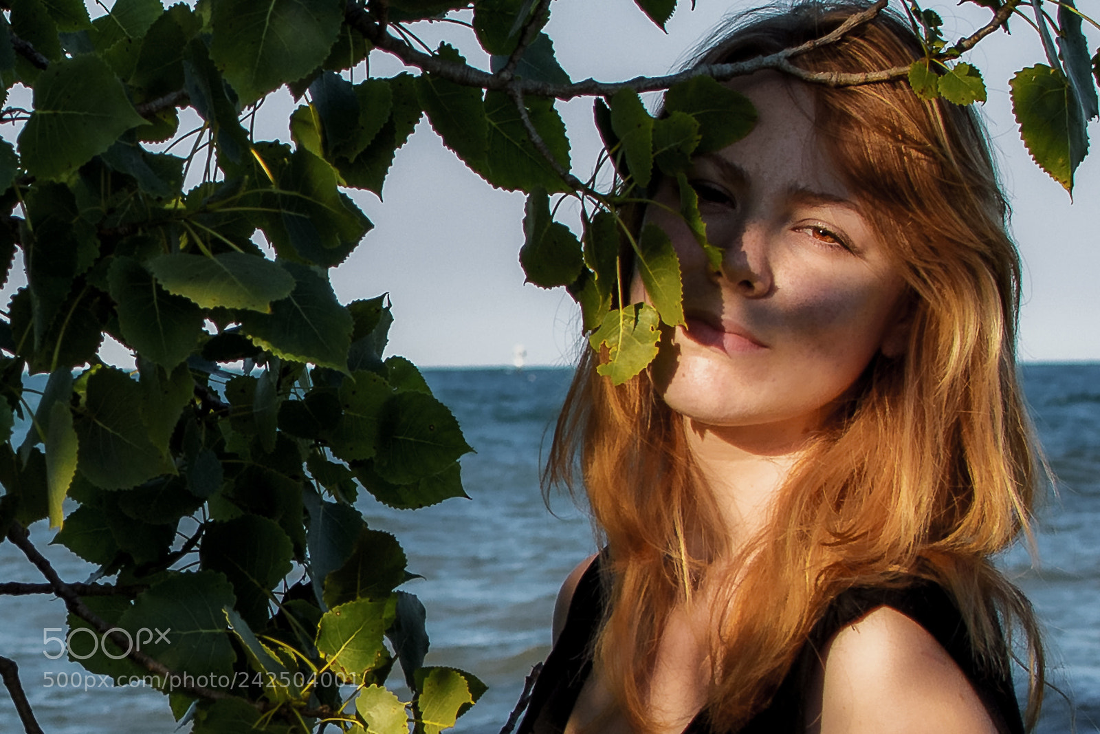 Nikon D7200 sample photo. The peer photography