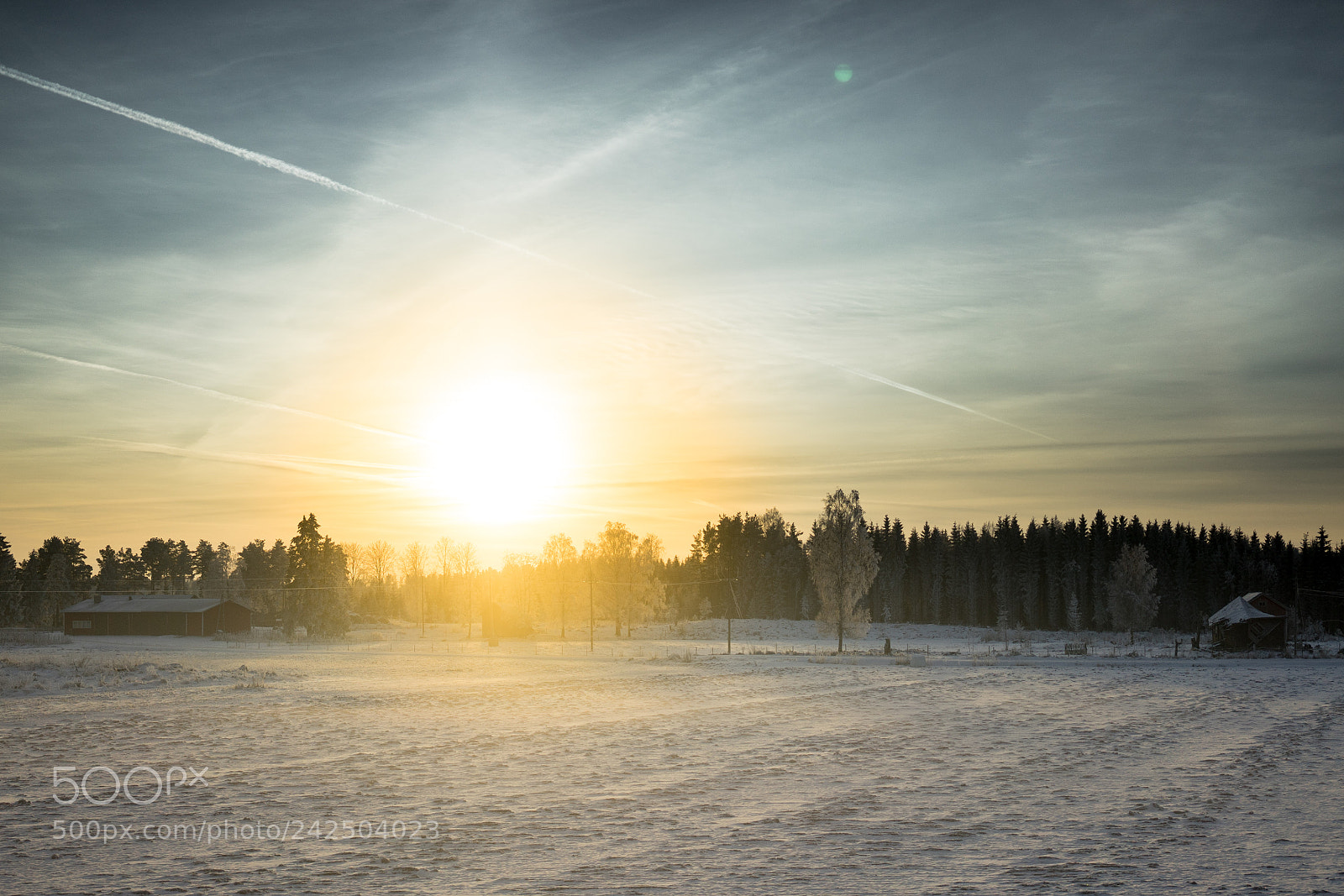 Sony a7 II sample photo. 012/365: sunset from train window photography