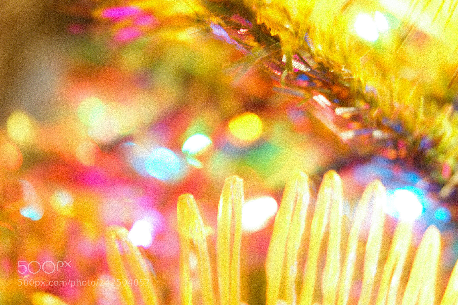 Sony Alpha DSLR-A290 sample photo. Favourite christmas bokeh photography