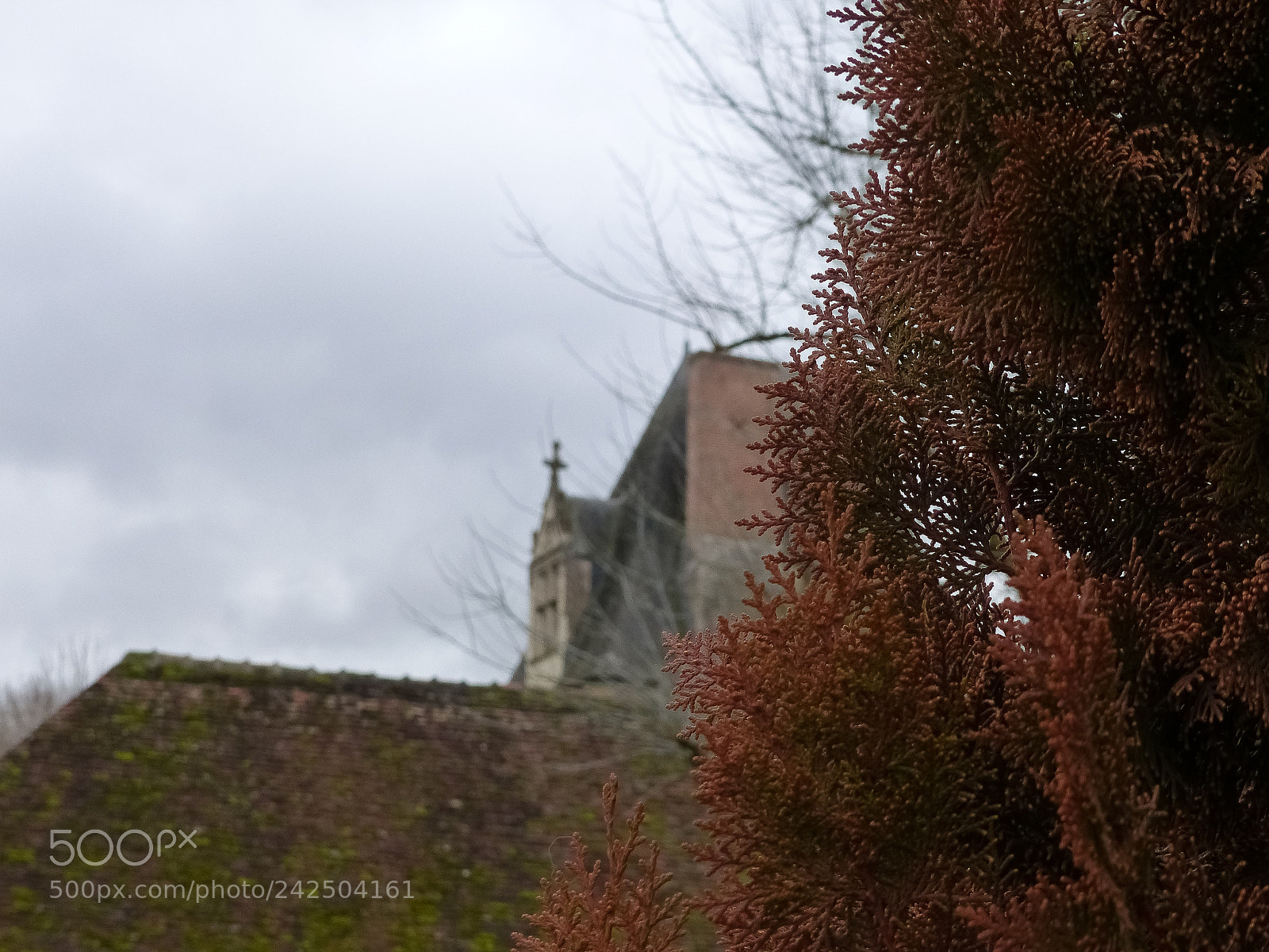 Panasonic Lumix DMC-FZ200 sample photo. Chateau de fougeres sur photography