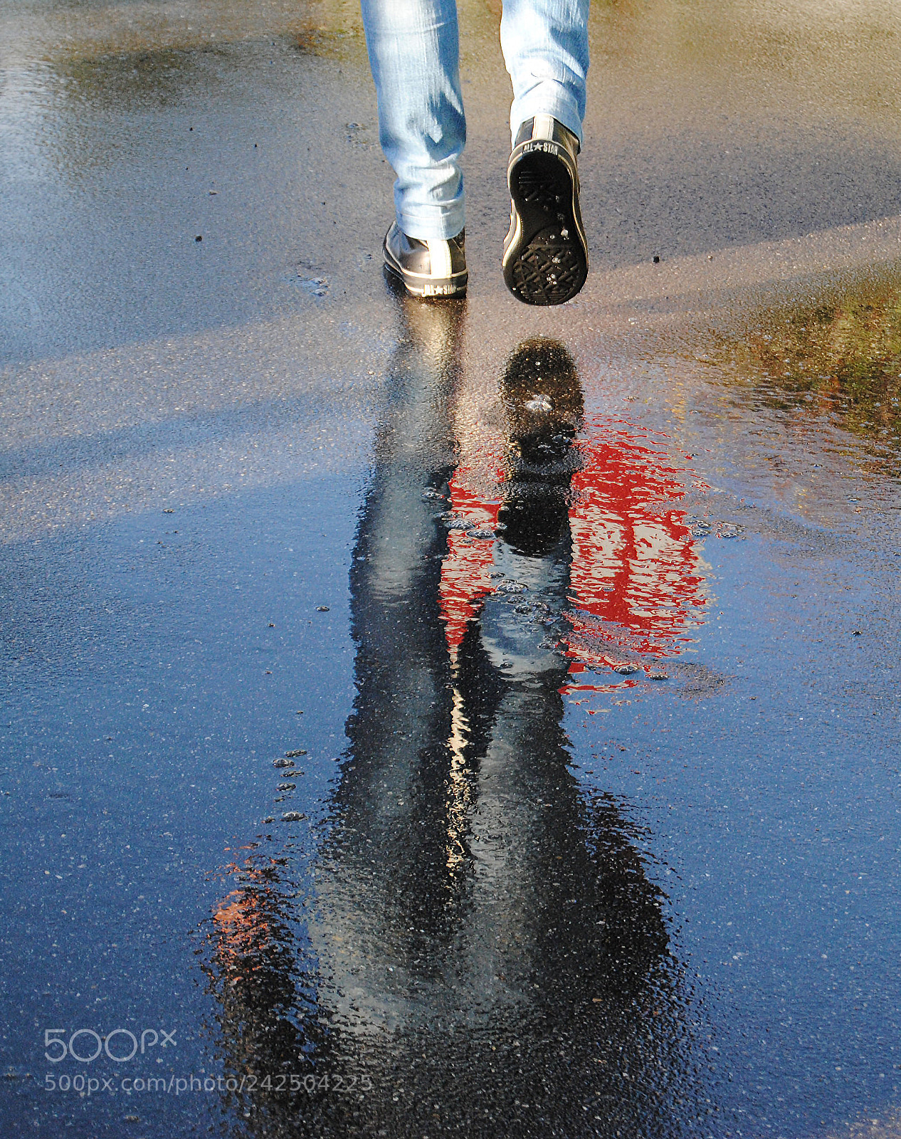 Nikon D3000 sample photo. Stop photography