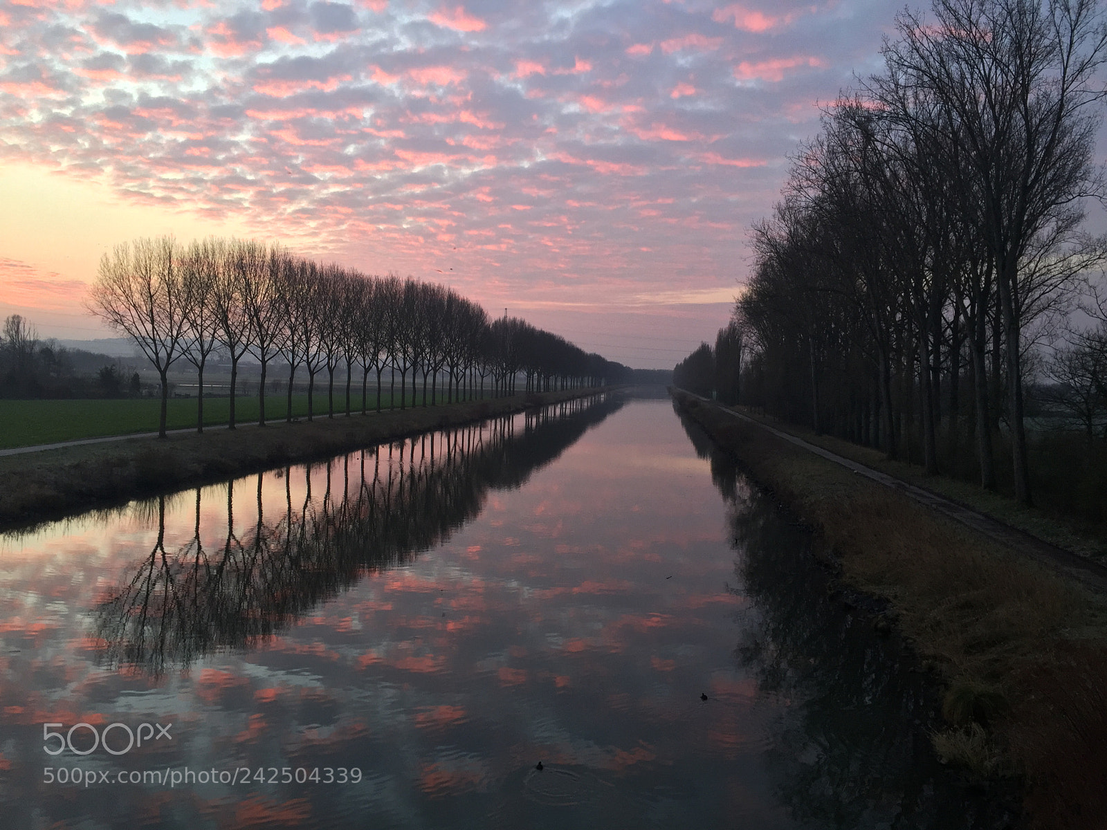 Apple iPhone 6 Plus sample photo. Schelde - pecq photography