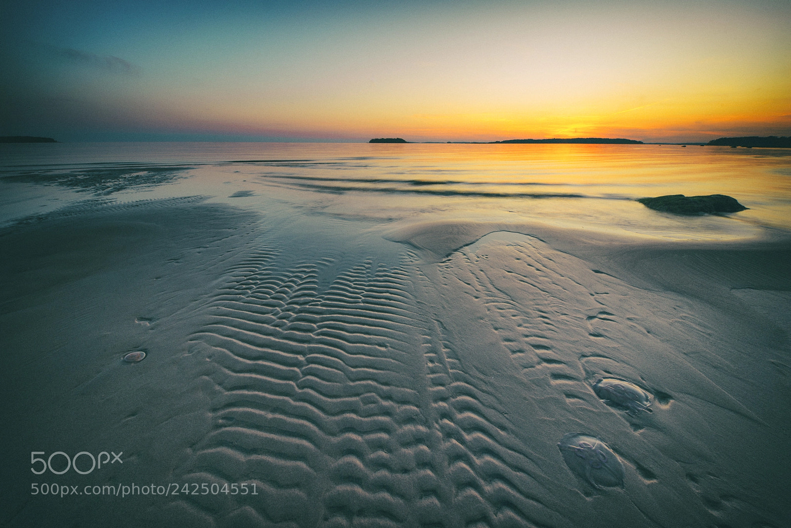 Nikon D610 sample photo. Jellyfishbeach photography