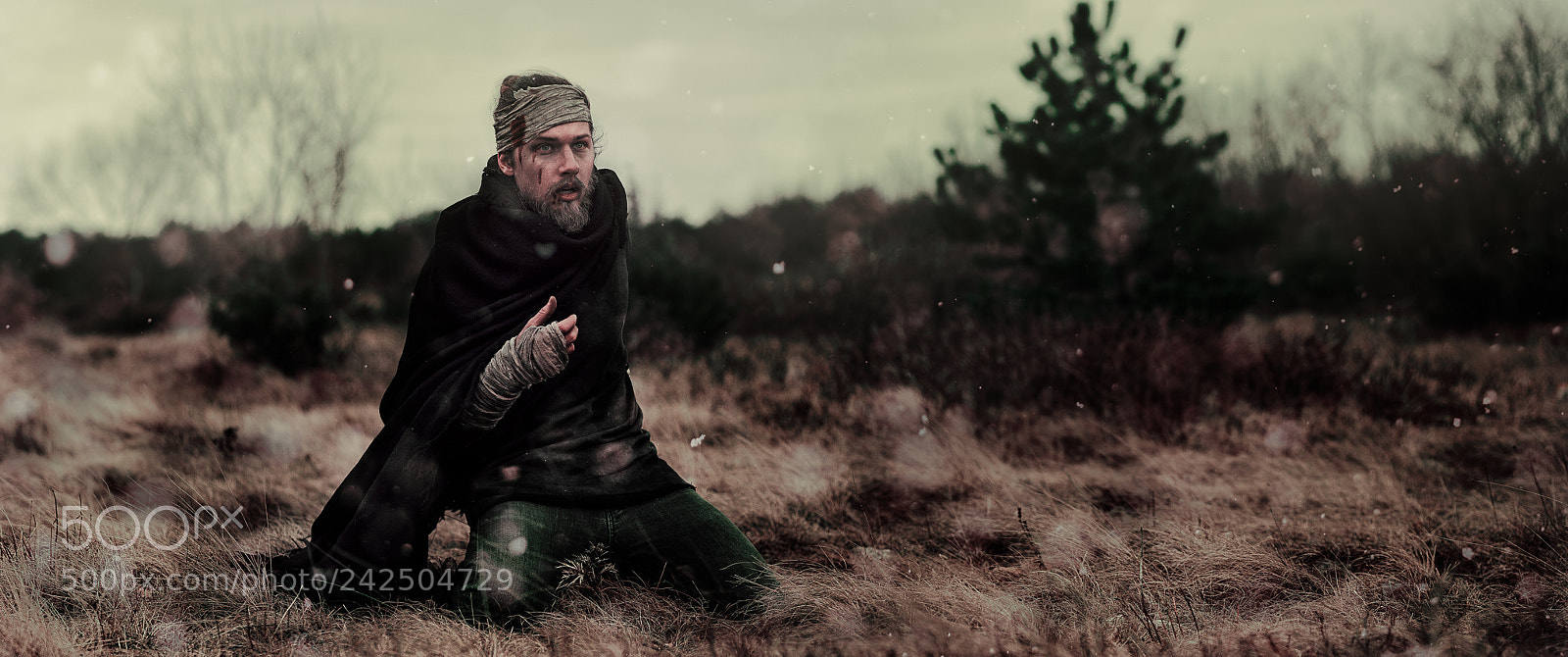 Nikon D810 sample photo. Fallout photography